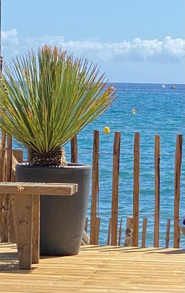 Mariana Plage view 3