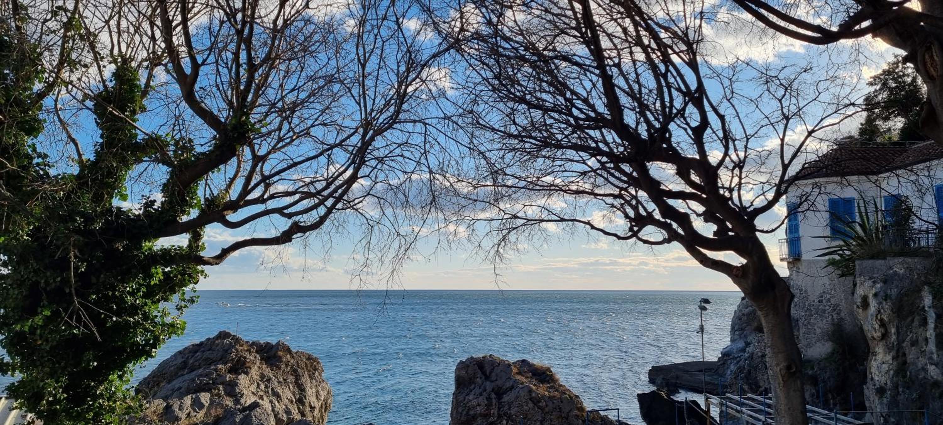 Sea Pearl Amalfi photo 3