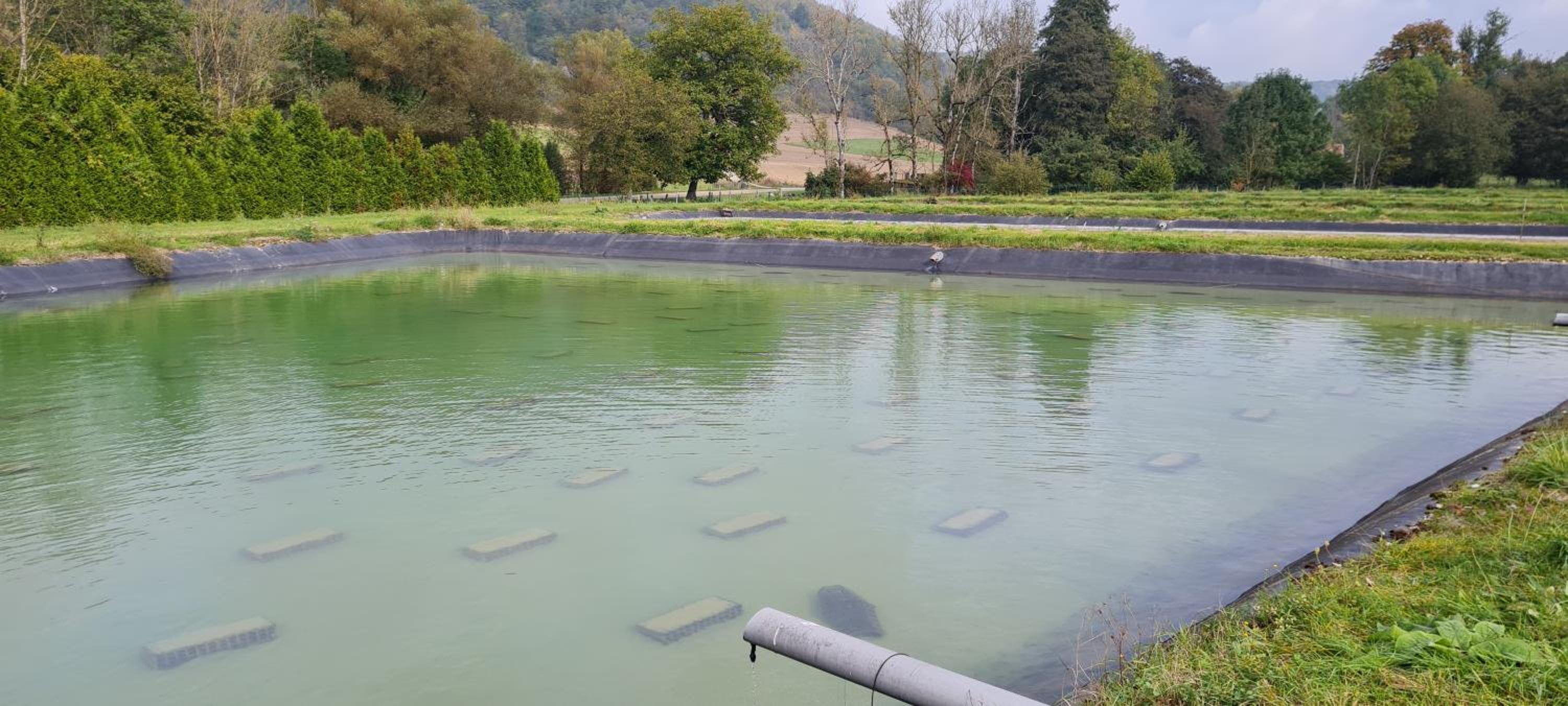 Le Moulin Aux Ecrevisses view 4