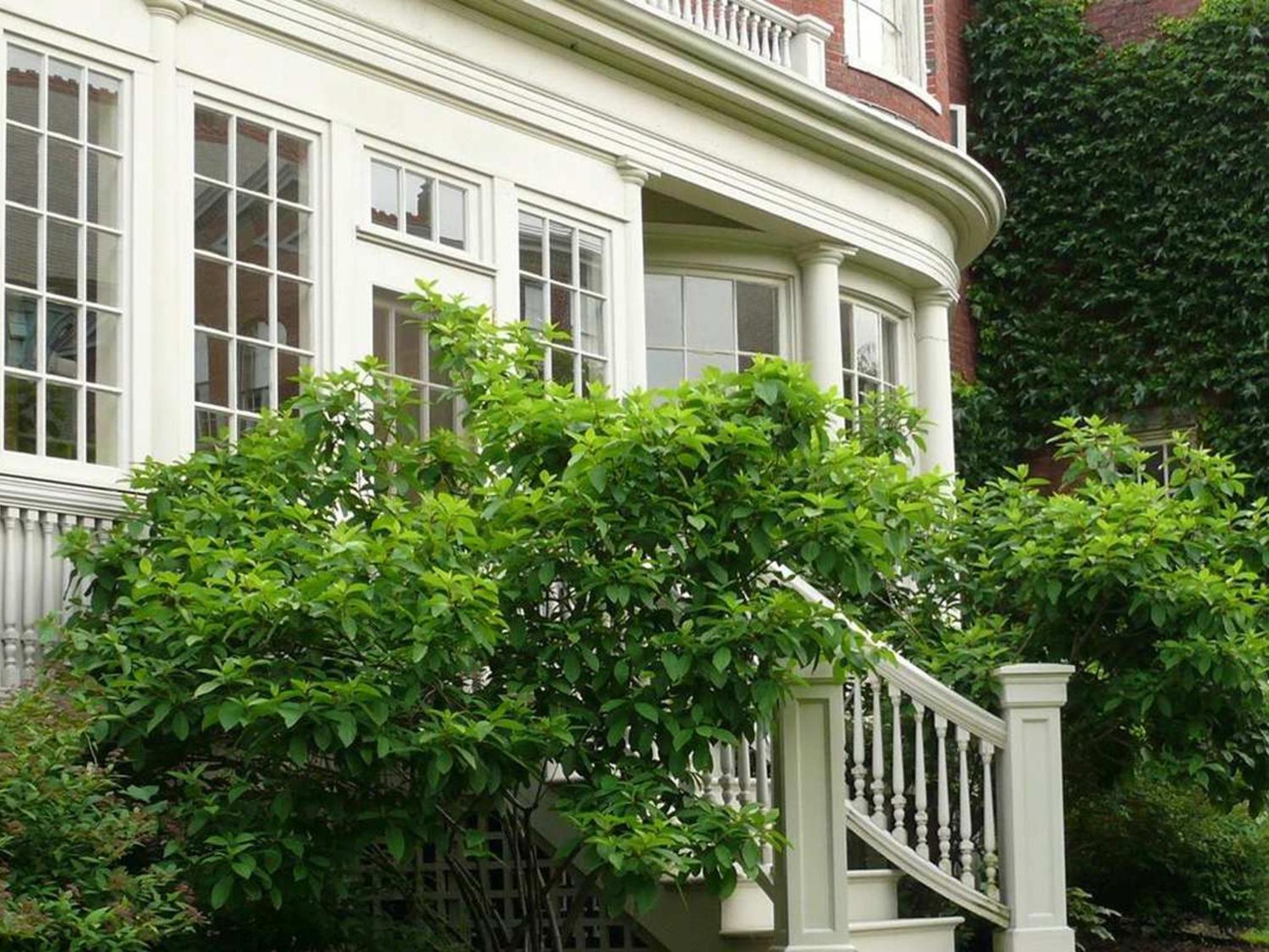 Portland Vacations - Blind Tiger Portland - Danforth Street - Property Image 46