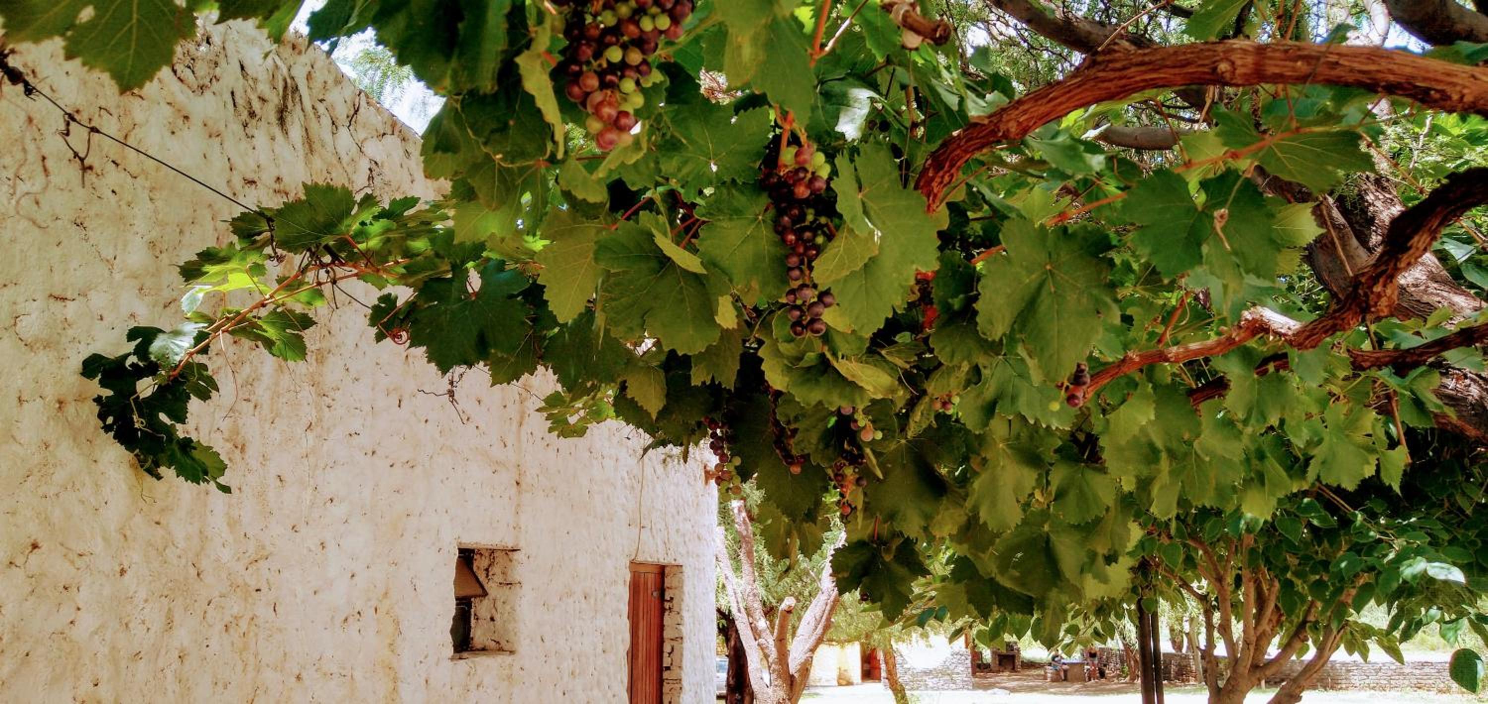 Cabañas Achalay – Refugio en Santa María
