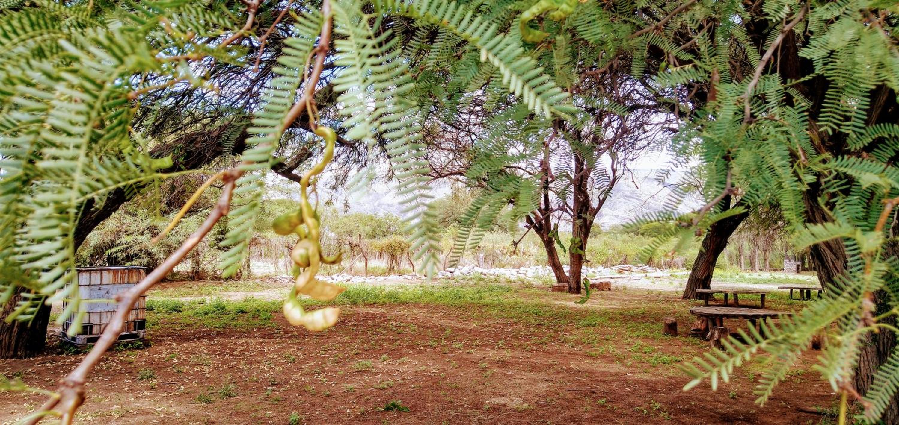 Cabañas Achalay – Refugio en Santa María