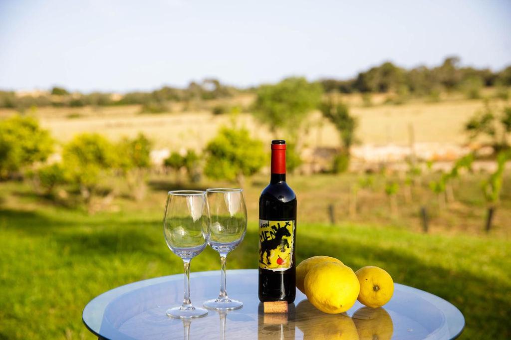 Finca Agroturismo Son Menut