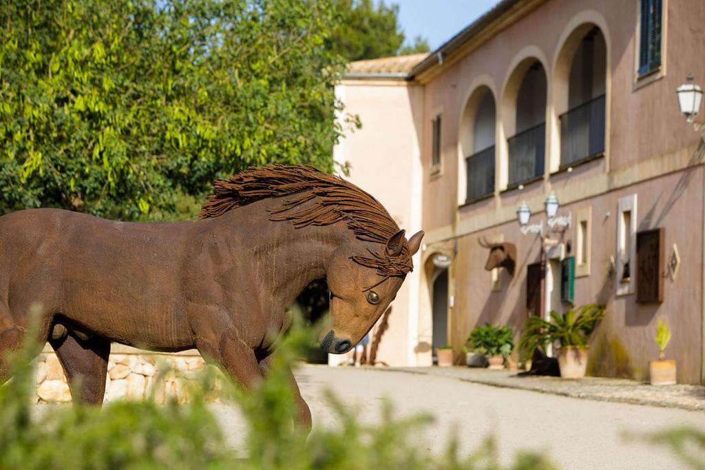 Finca Agroturismo Son Menut