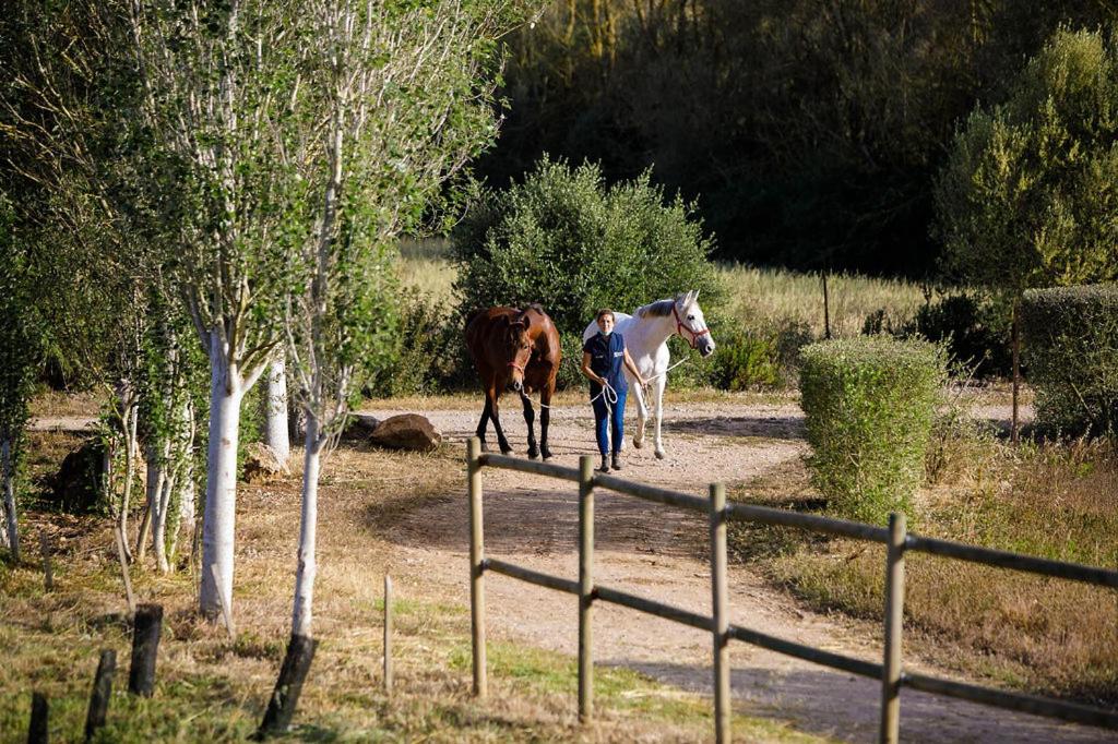 Finca Agroturismo Son Menut