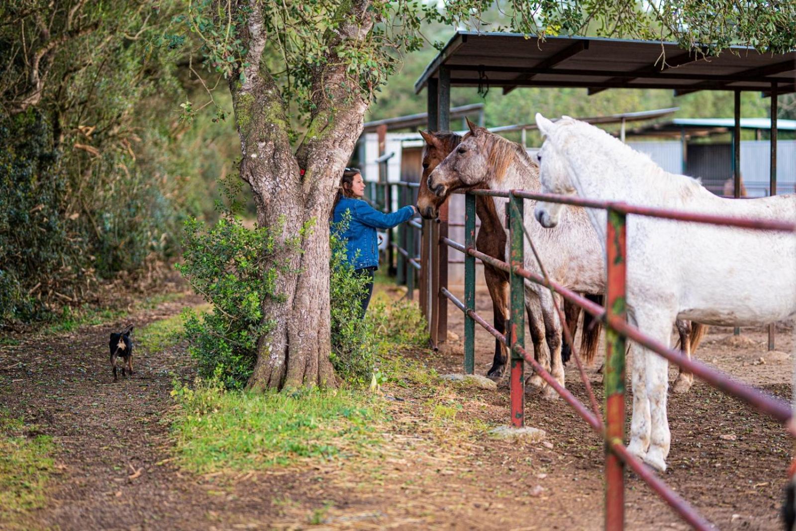 Finca Agroturismo Son Menut