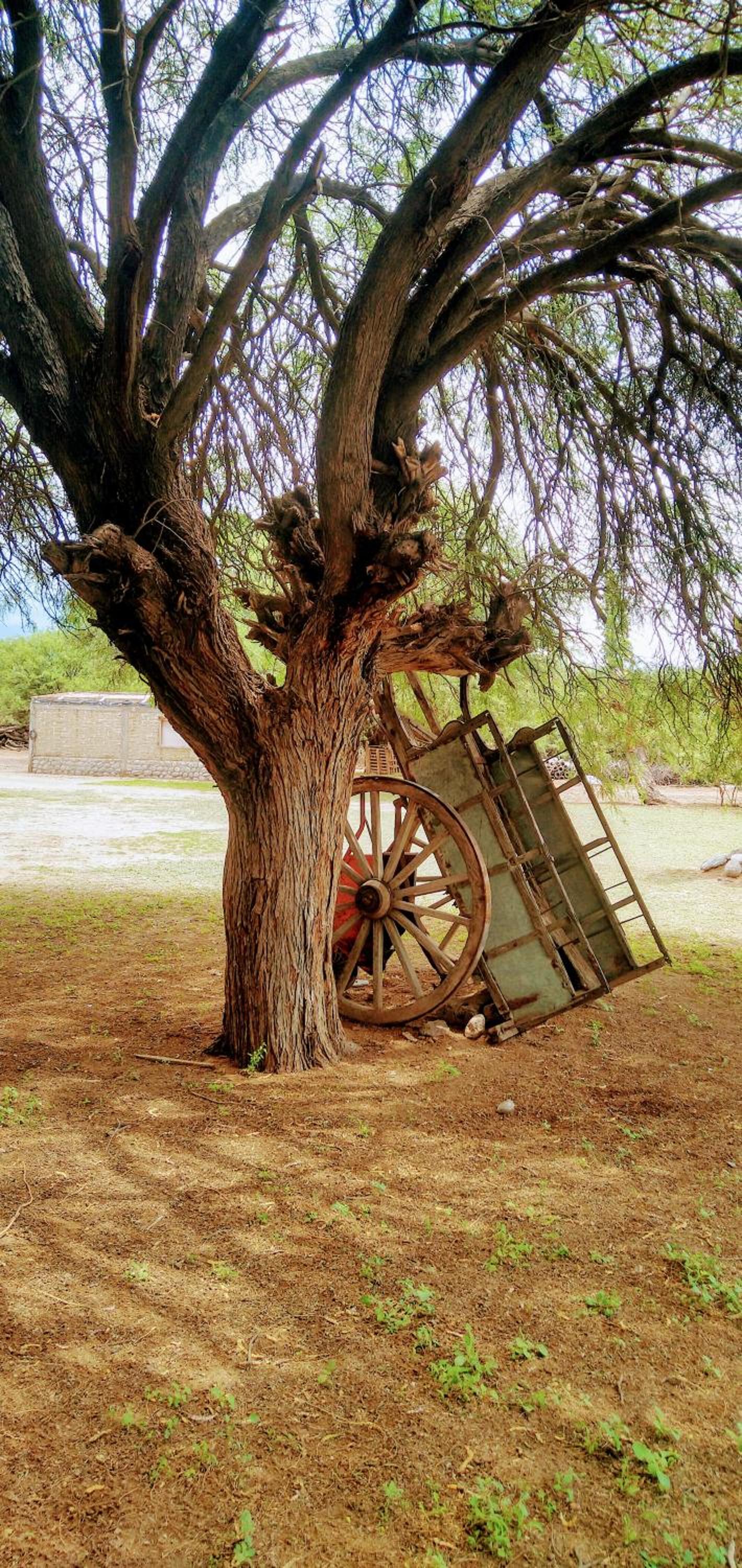 Cabañas Achalay – Refugio en Santa María