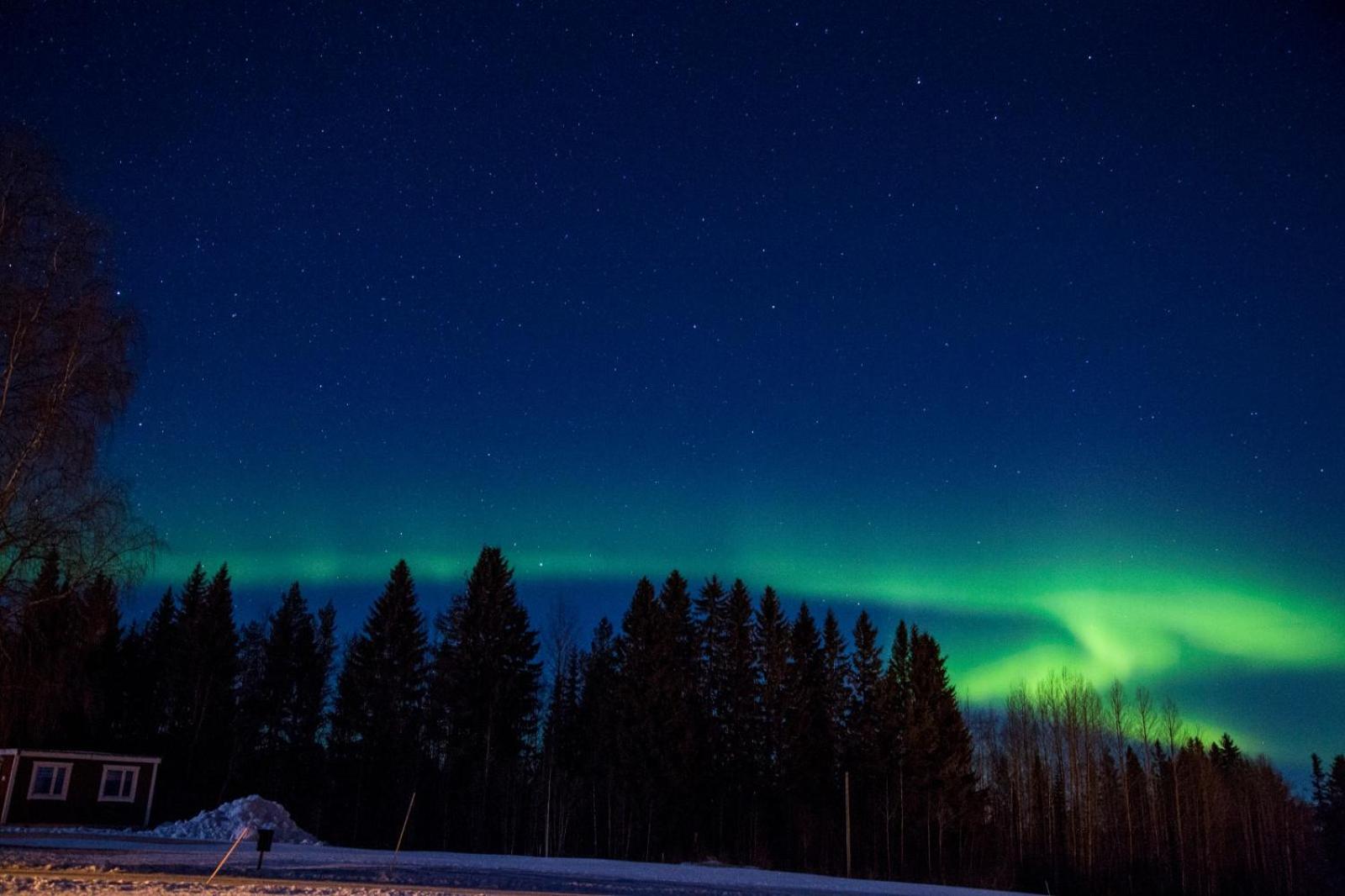 Lappland Pro Natur