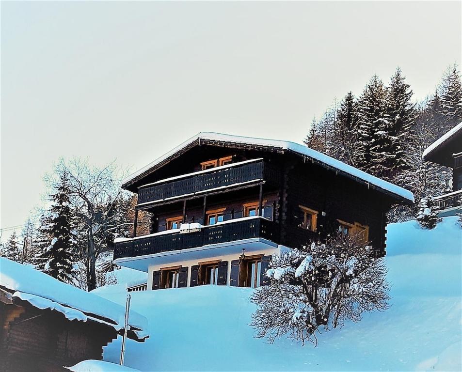 LA TZOUMAZ - VERBIER 4 Vallées - Grand Chalet 5 chambres, Ski IN/OUT, Sauna view 3