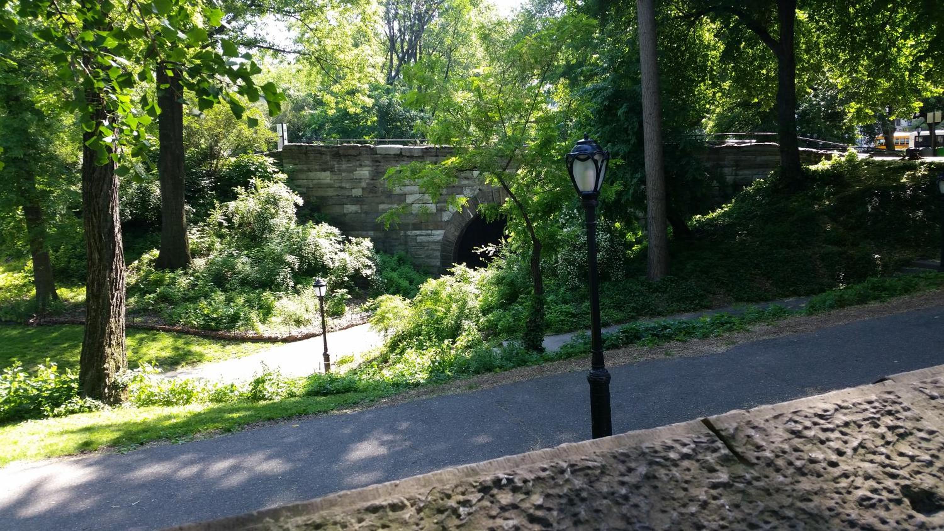 The Central Park North
