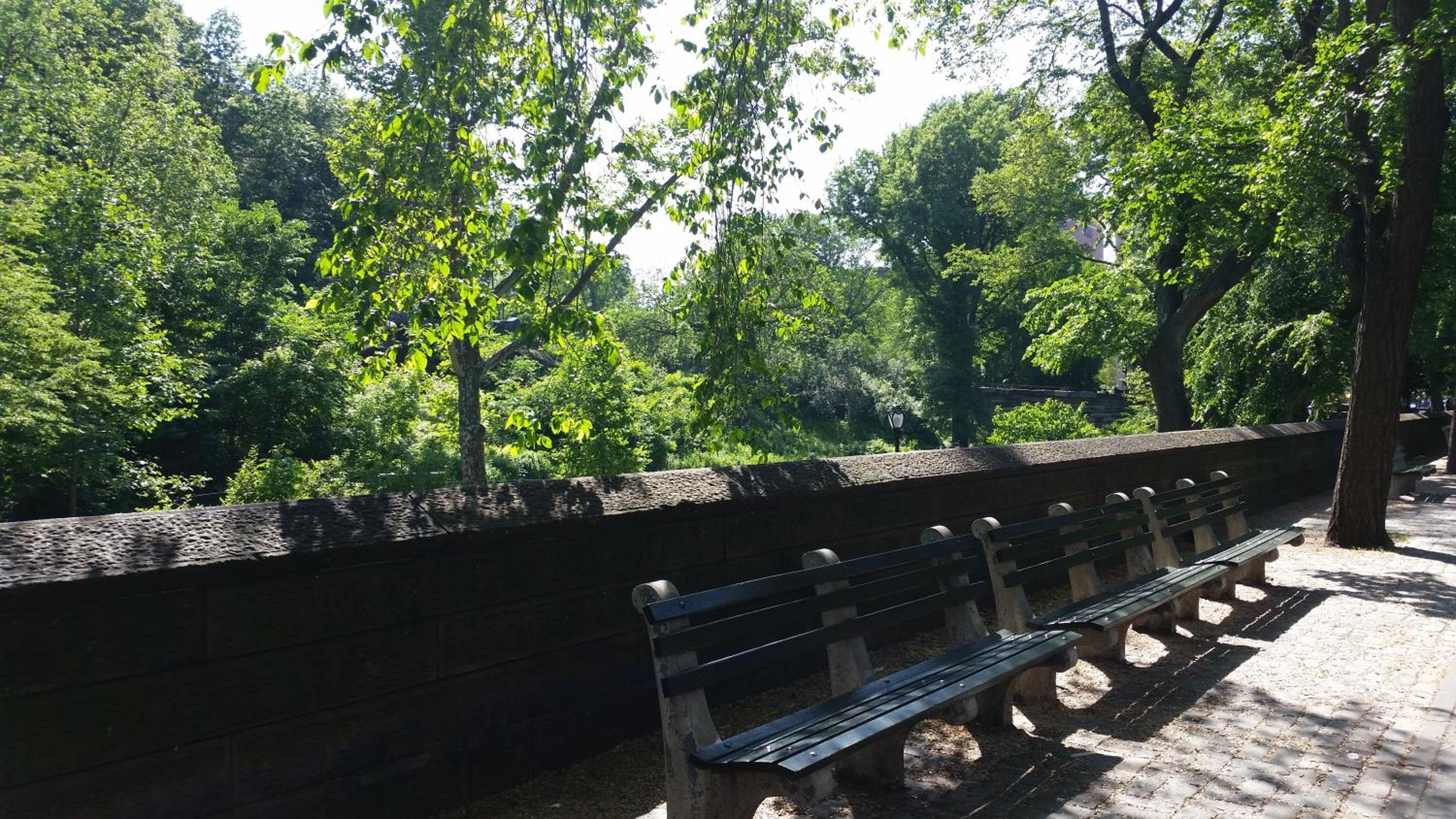 The Central Park North