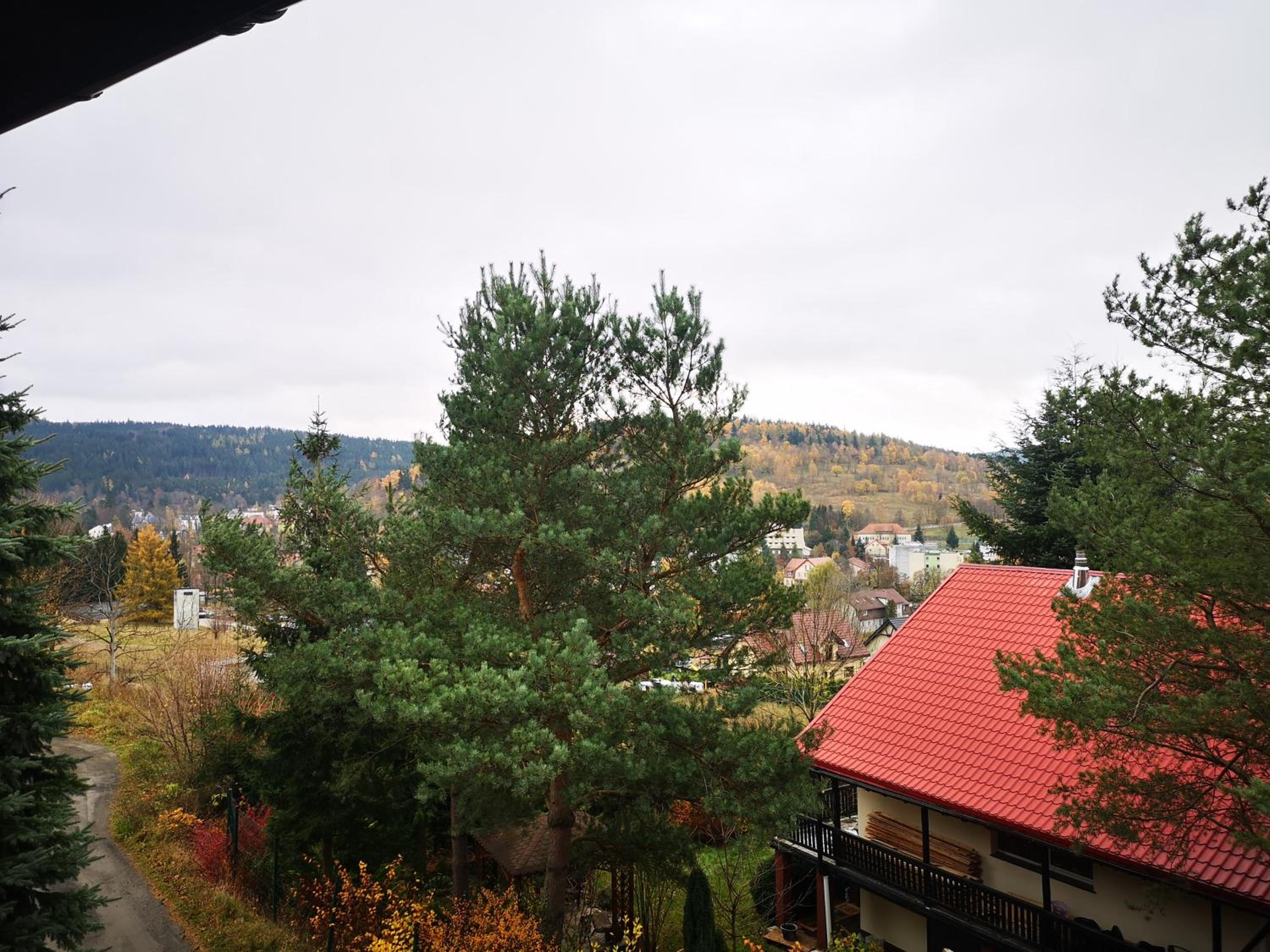 Irysek, photo 21