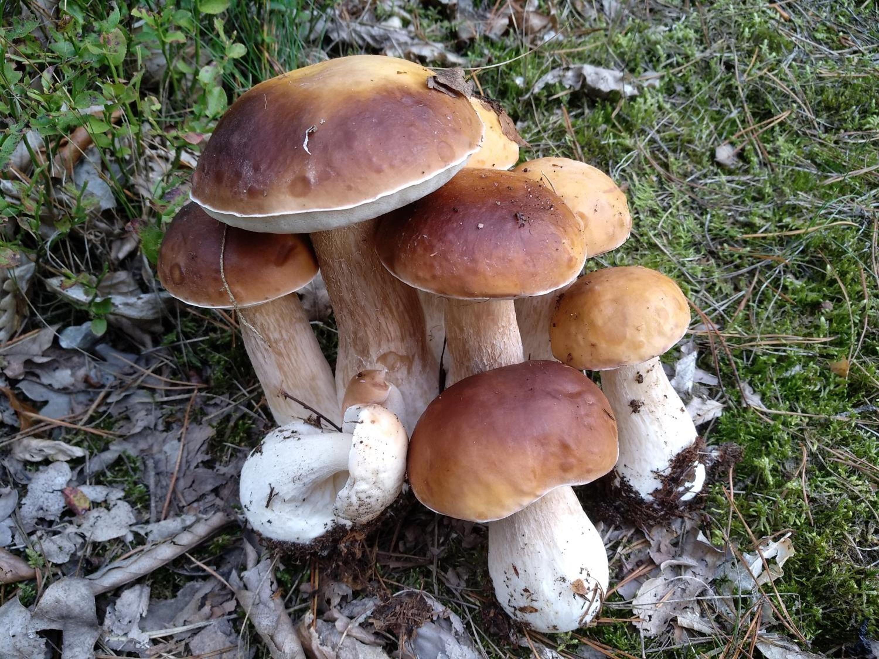 Photo 12