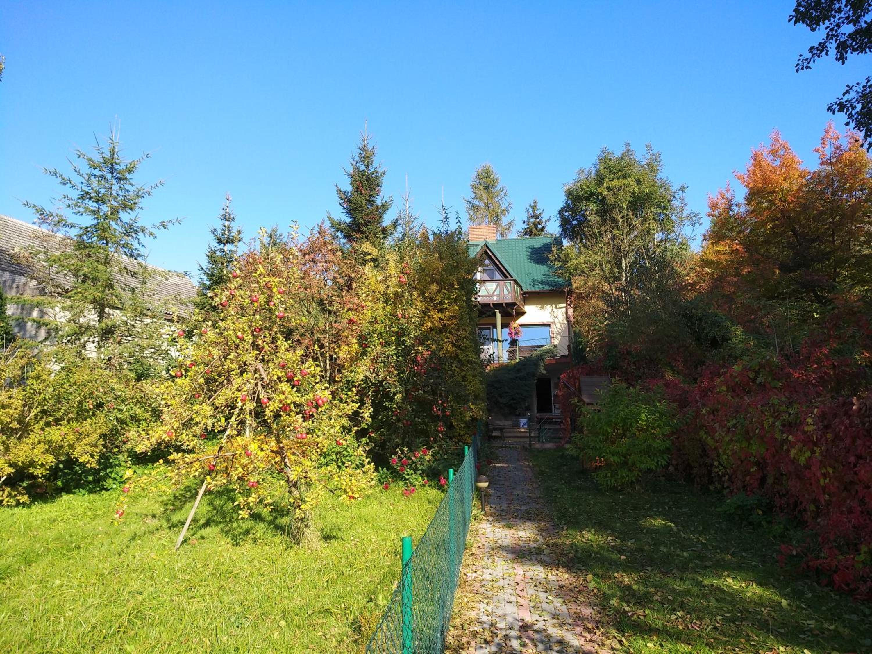 Photo 28