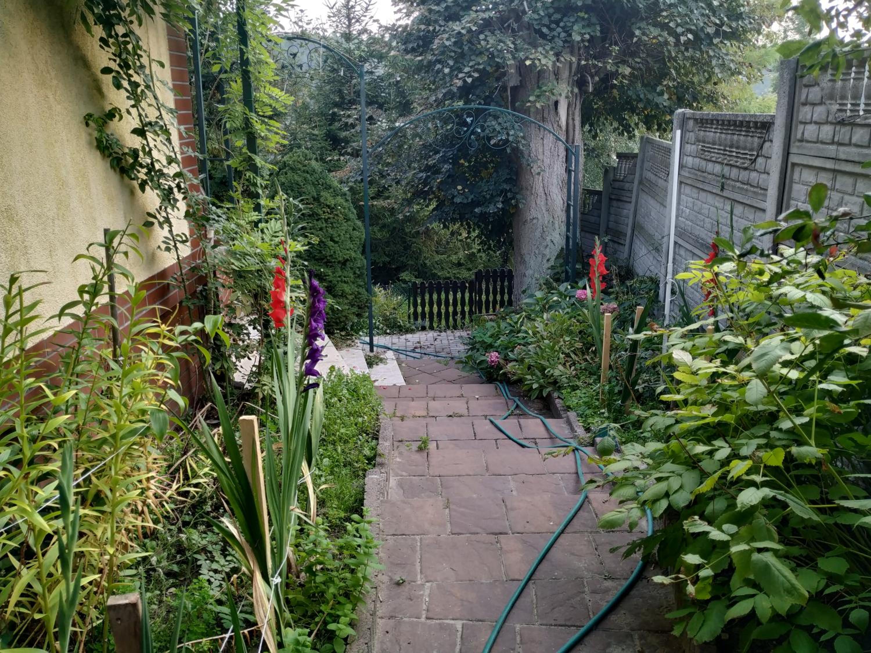 Photo 46