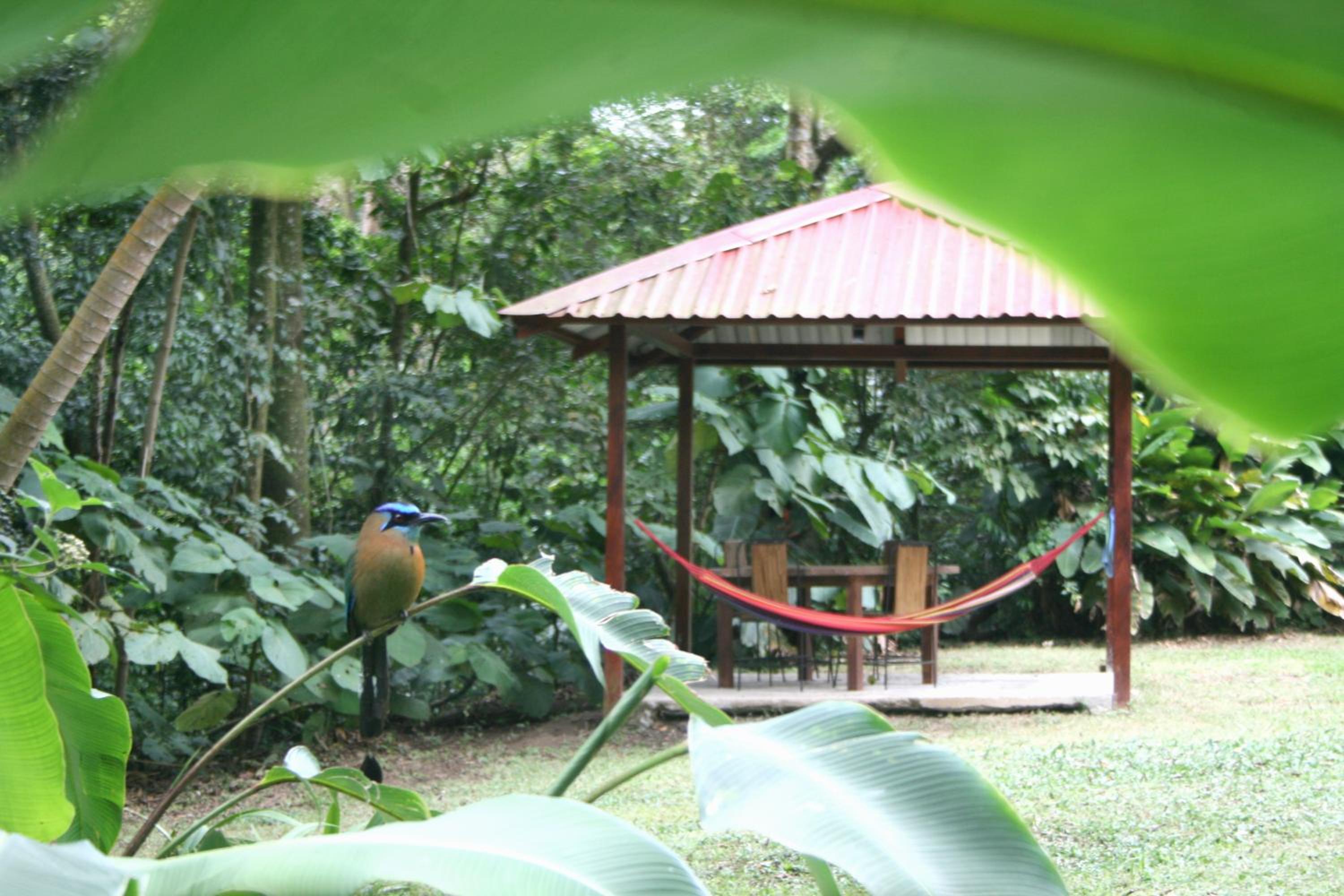 Forest Garden House