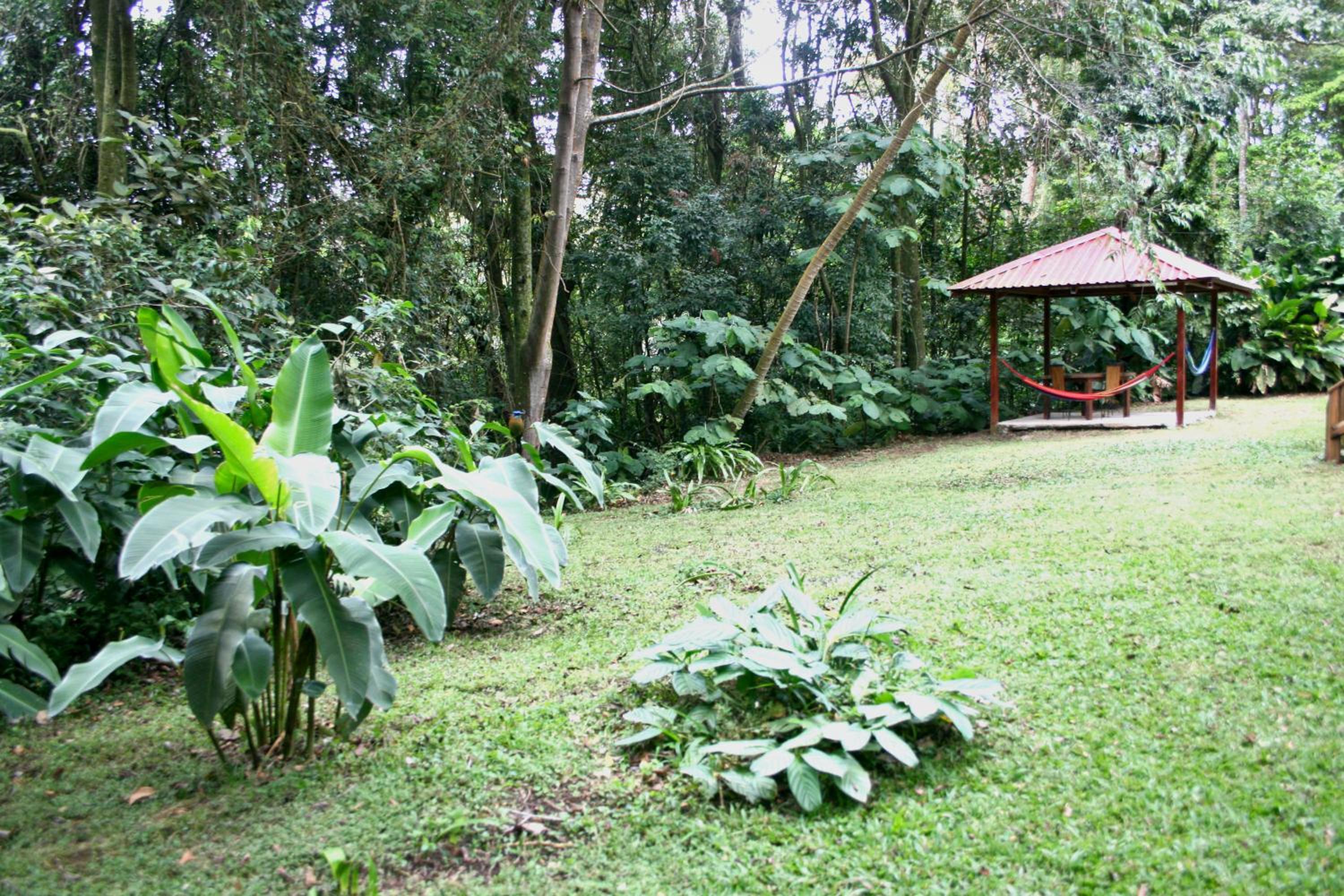 Forest Garden House
