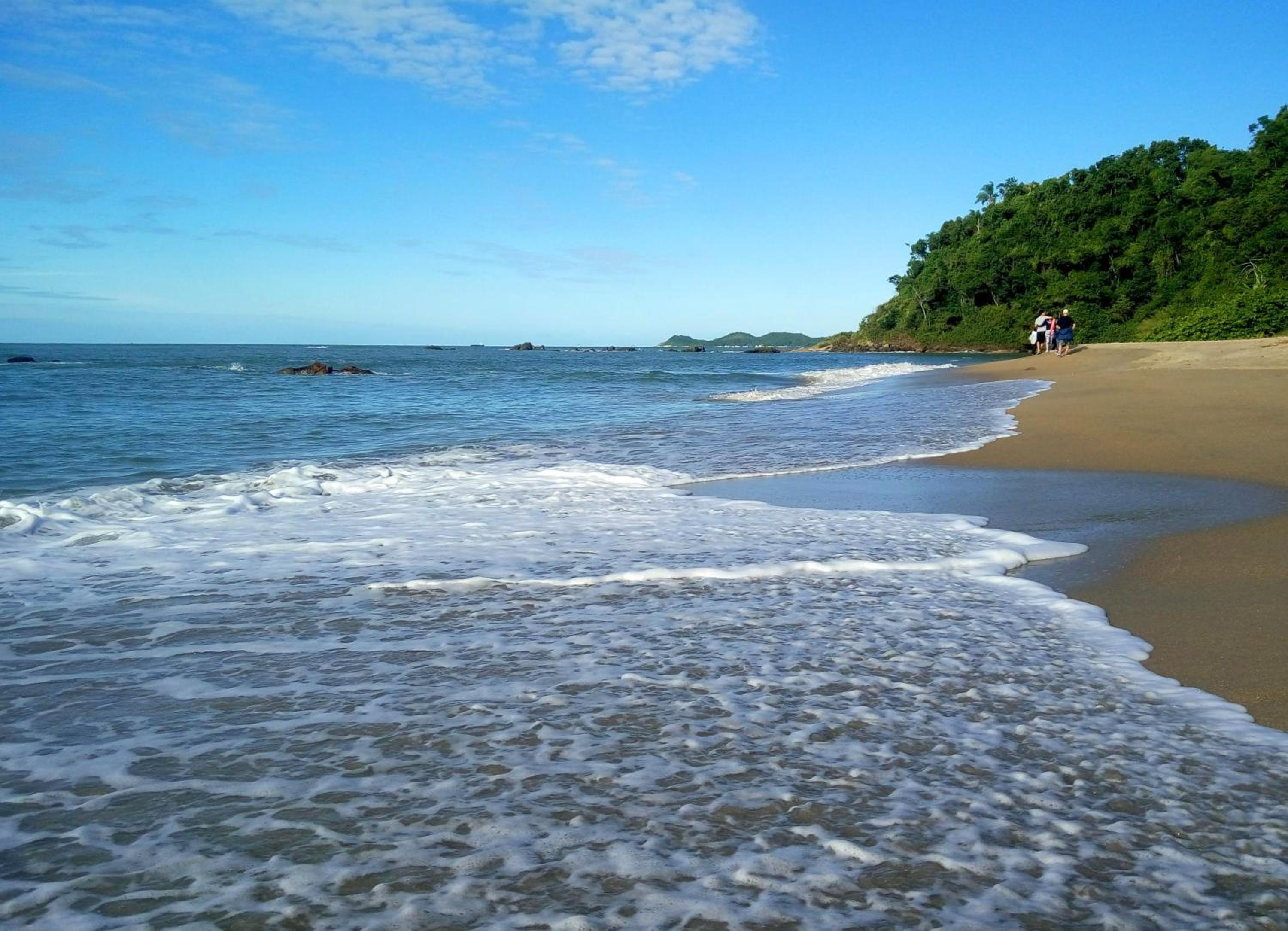 Curta Praia de Armação - Casa Hortênsia
