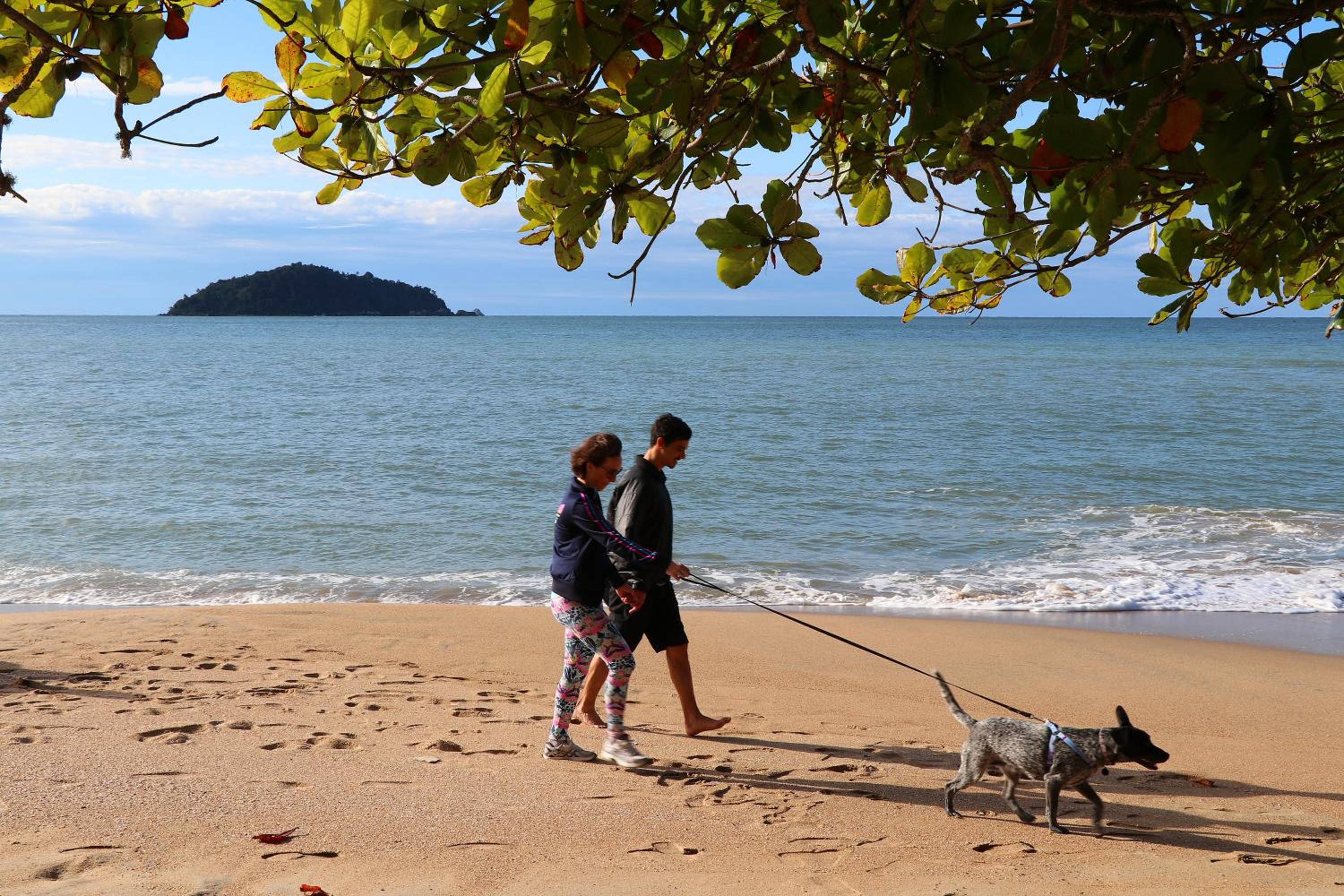 Curta Praia de Armação - Casa Hortênsia