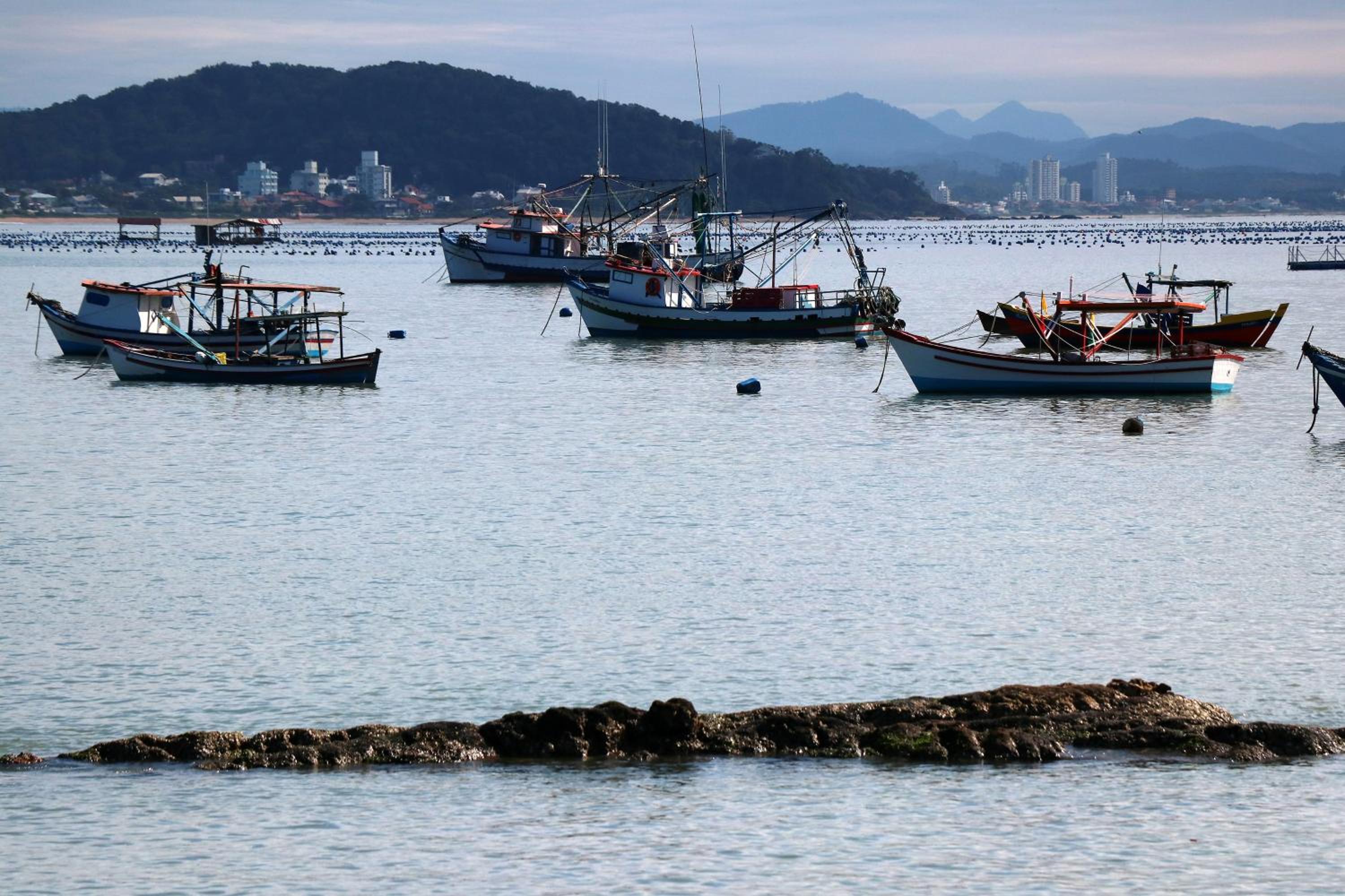 Curta Praia de Armação - Casa Hortênsia