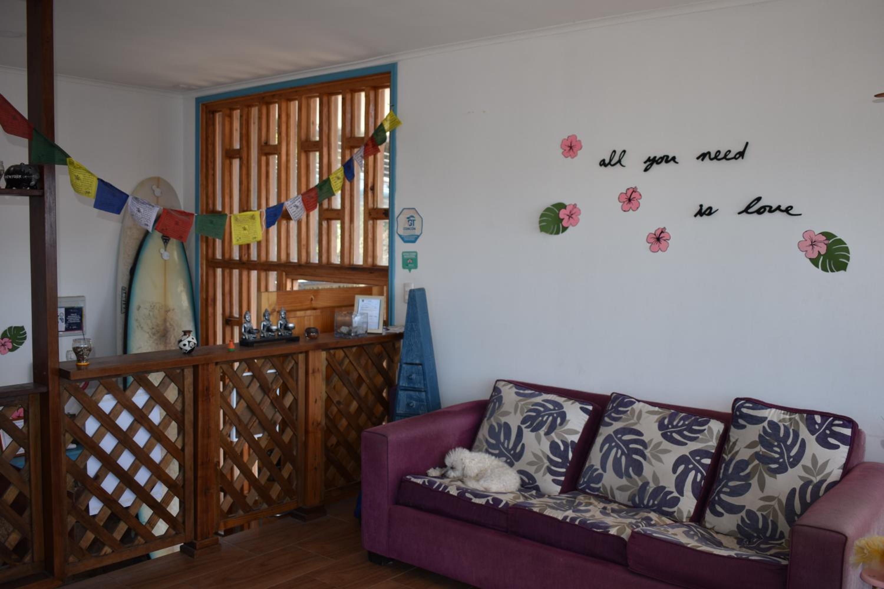 Bahía Luz Hostal