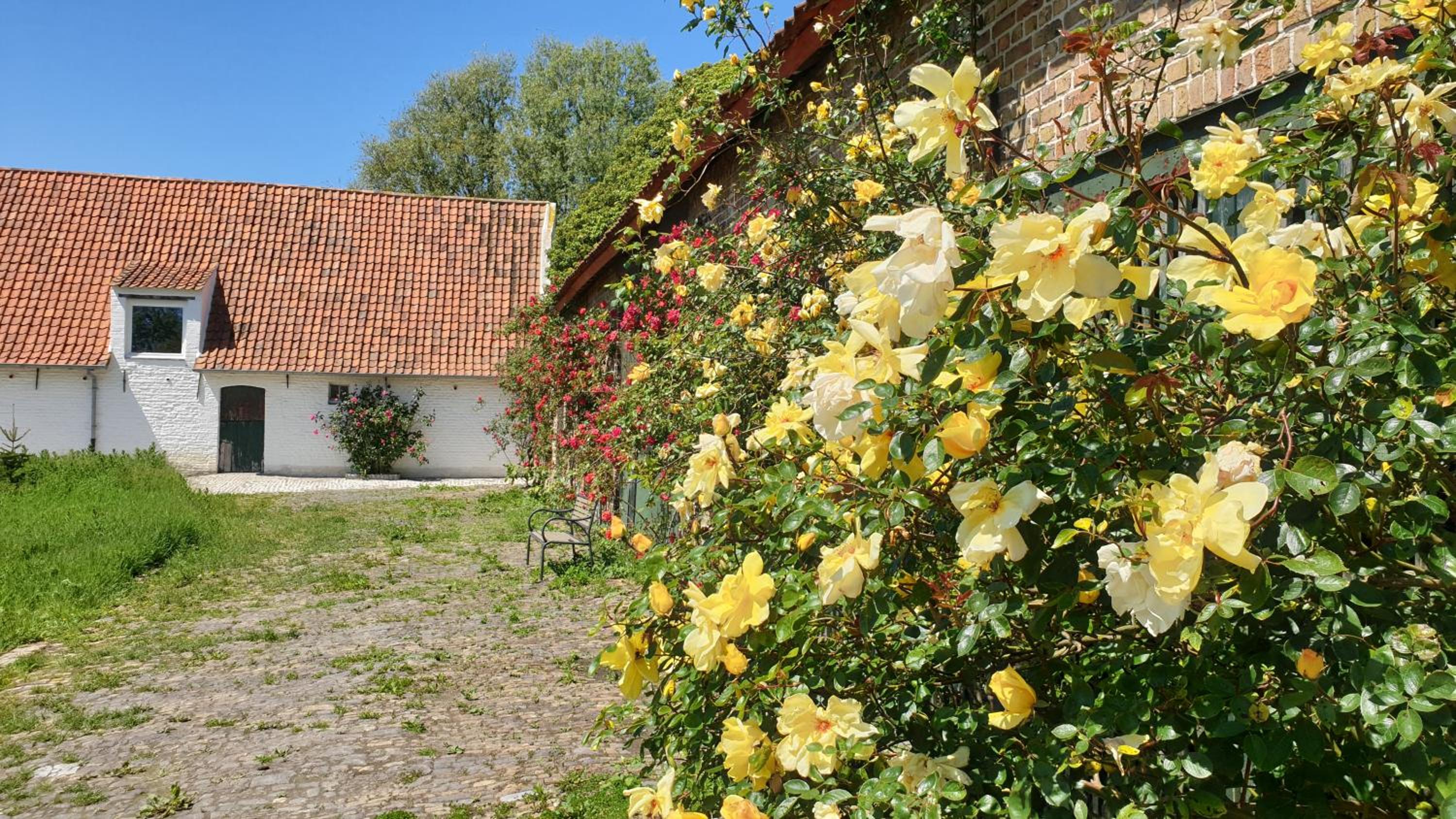 Hoeve Spyckergoed