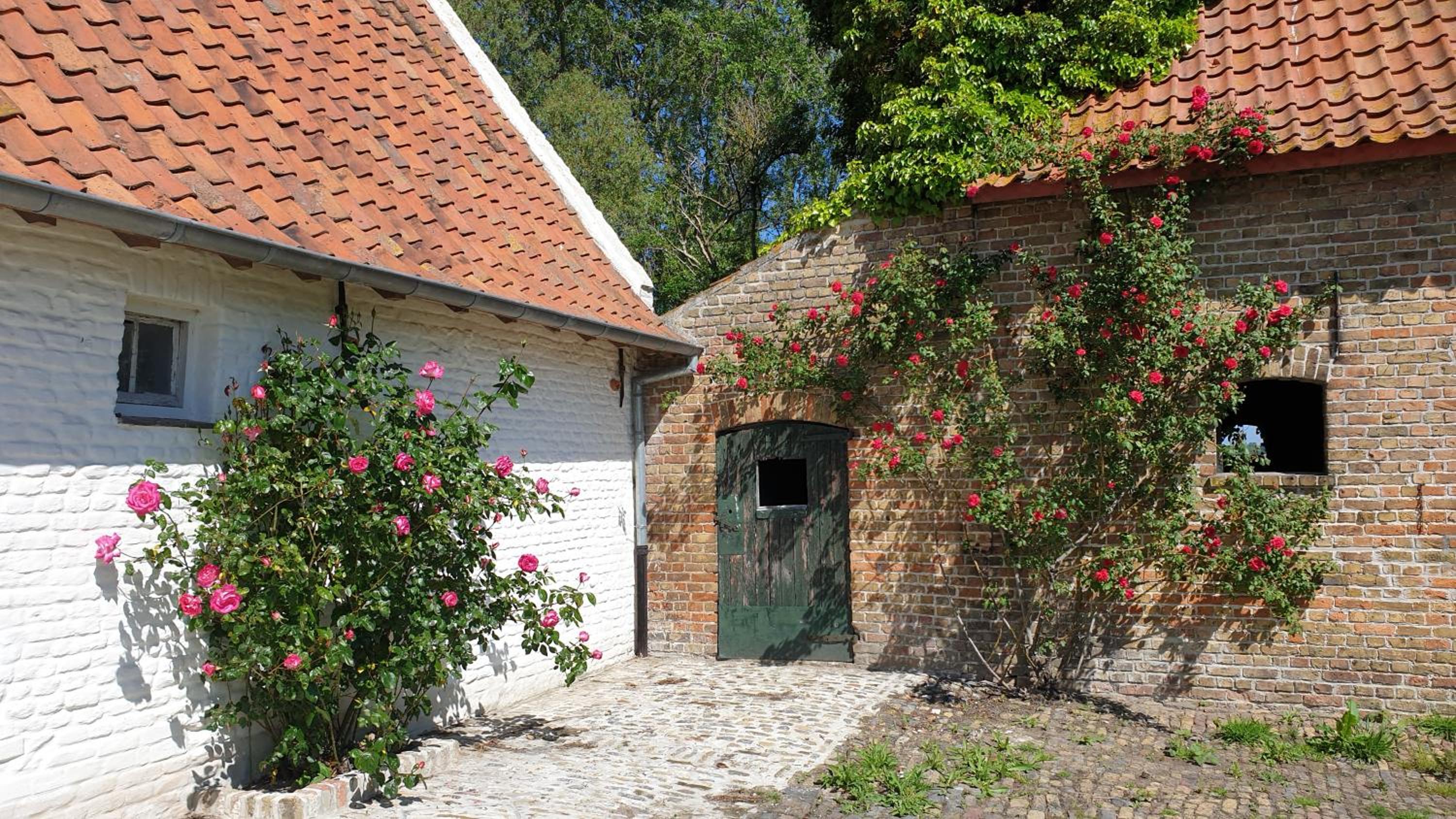 Hoeve Spyckergoed
