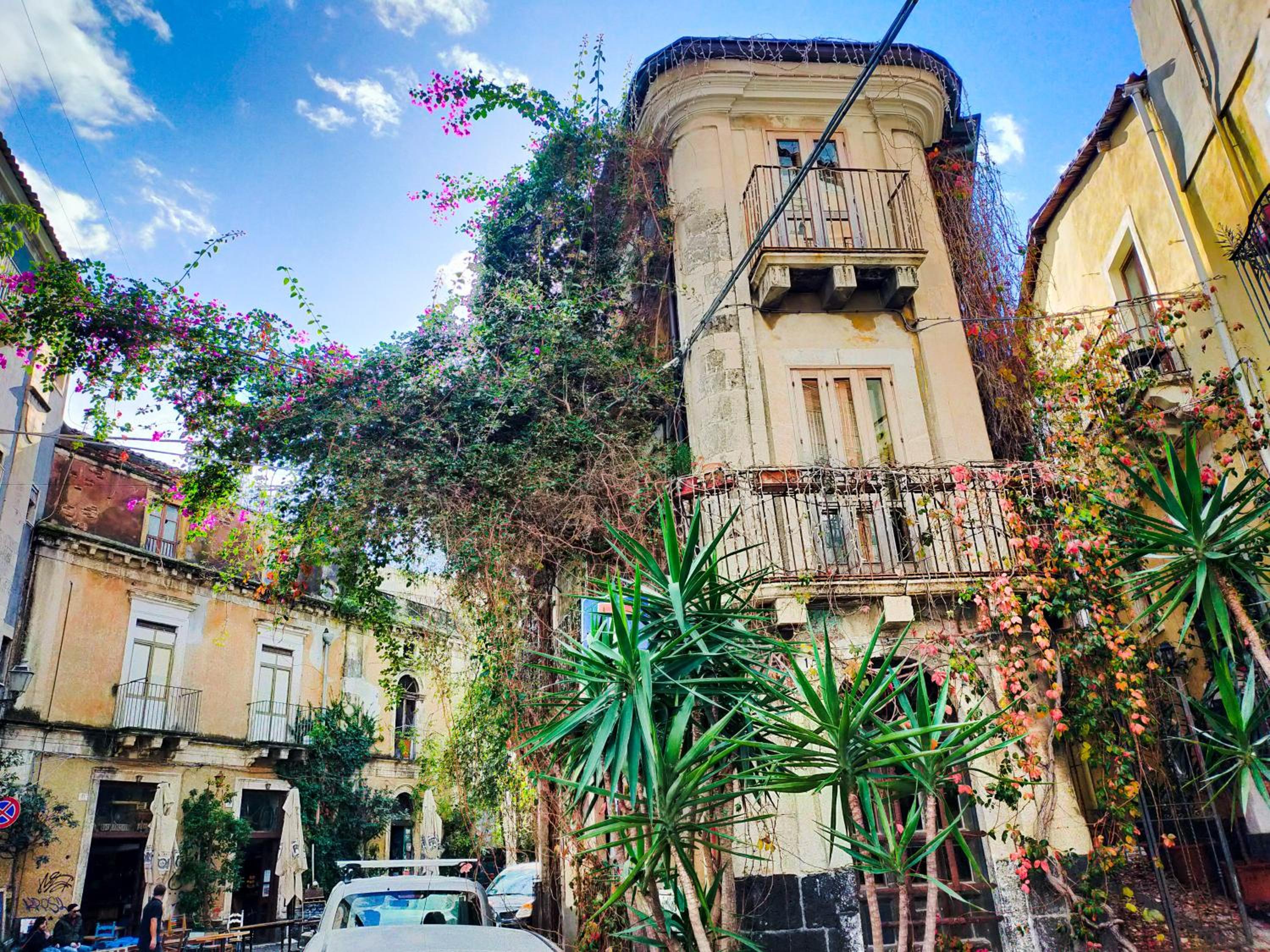 Wunderkammer Art Gallery Home Catania
