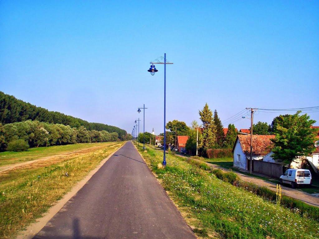 Photo 39