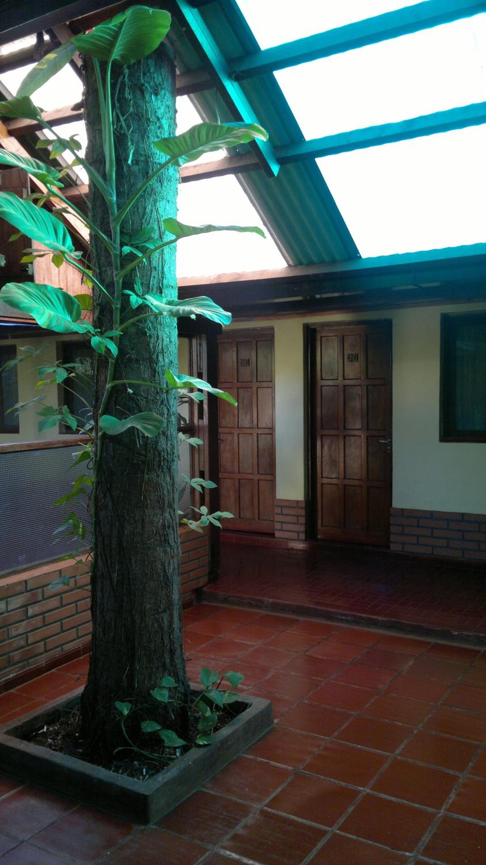 Hosteria Los Helechos
