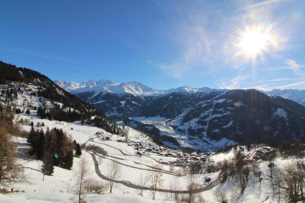 Antika 215 view 3