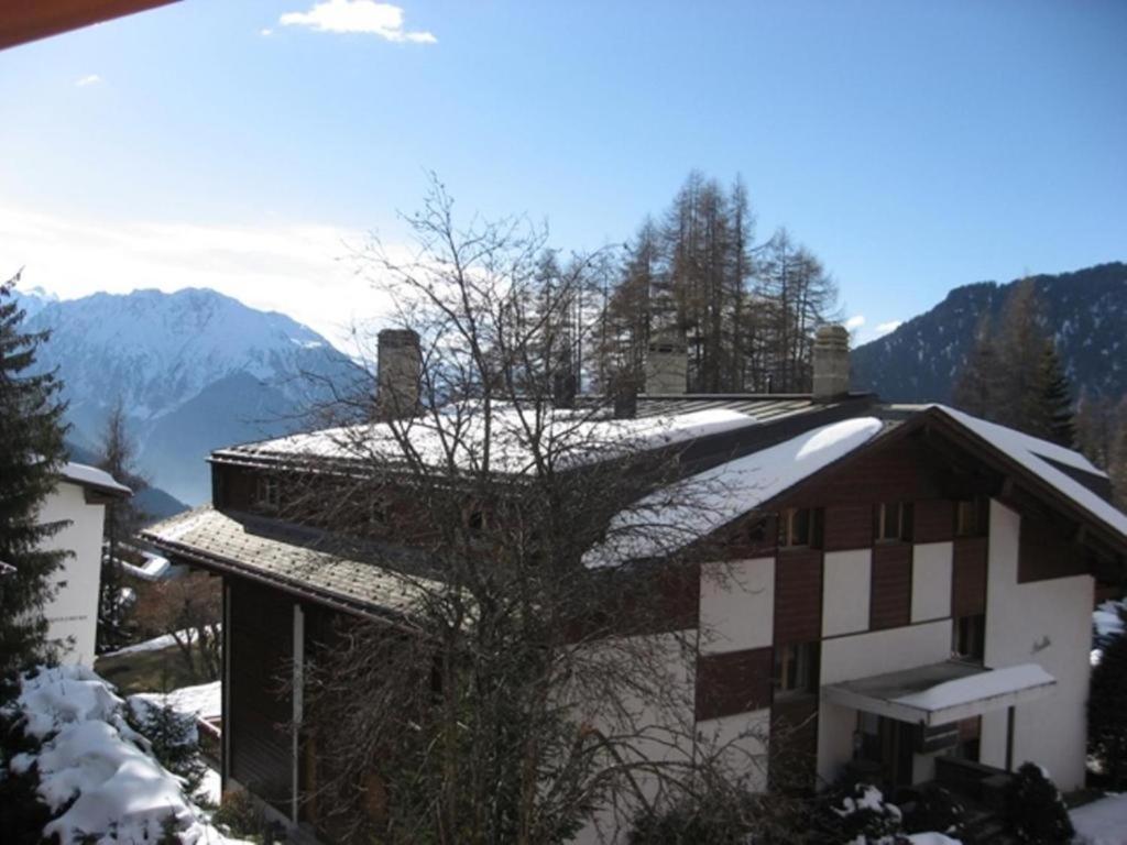 Photo 23
