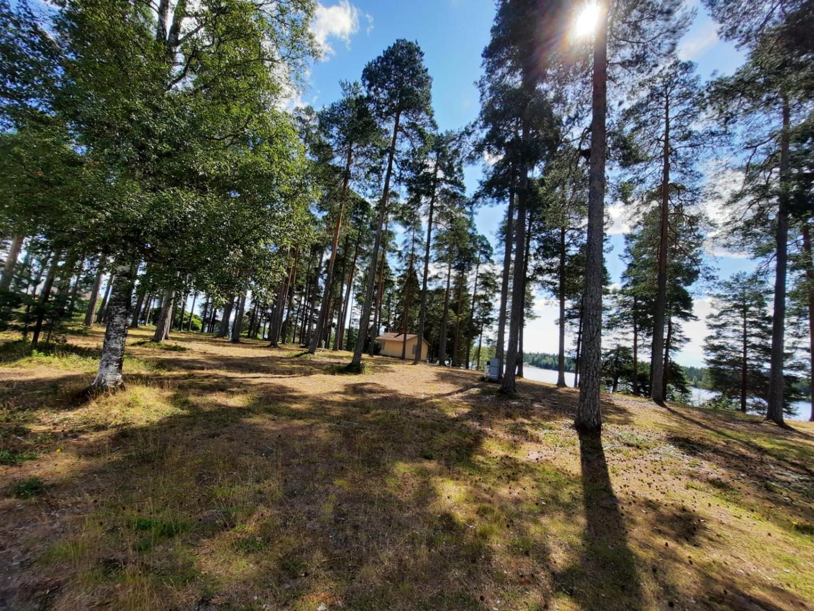 Furudals Vandrarhem view 4