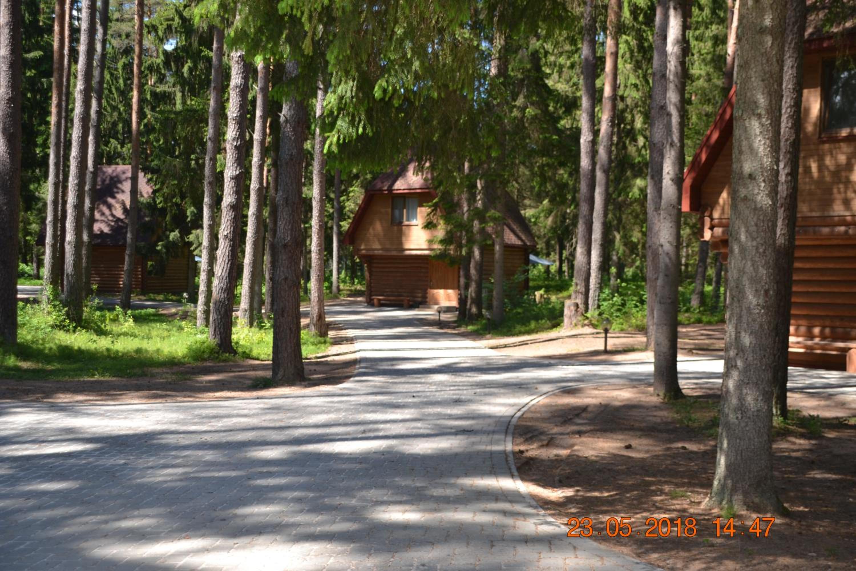 Photo 20