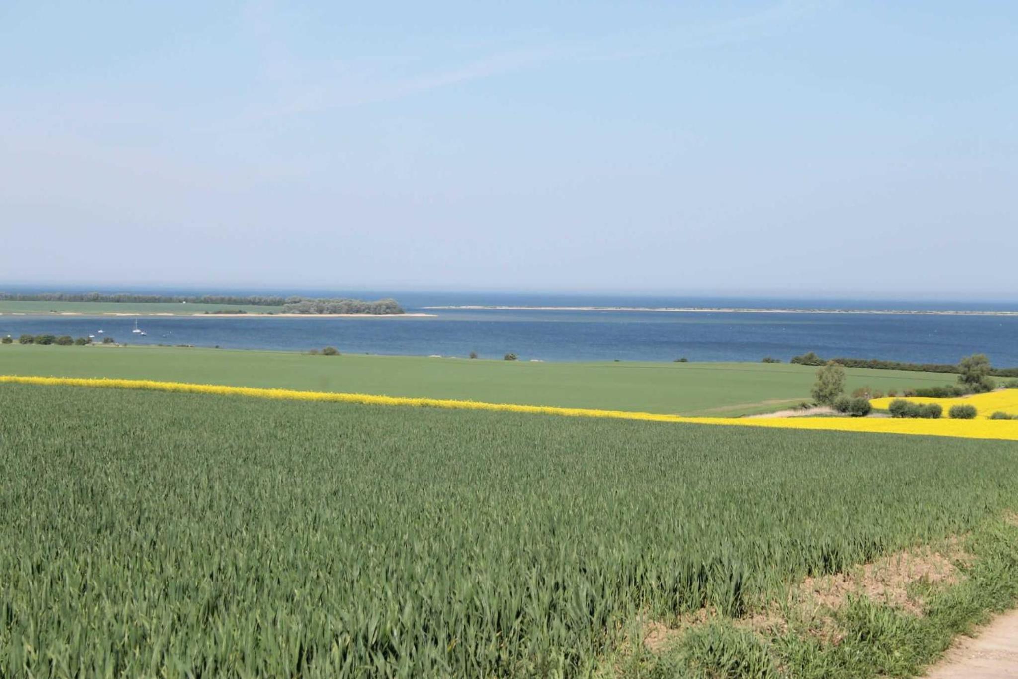 Salzhaff StrandHaeuser mit Kamin u view 4