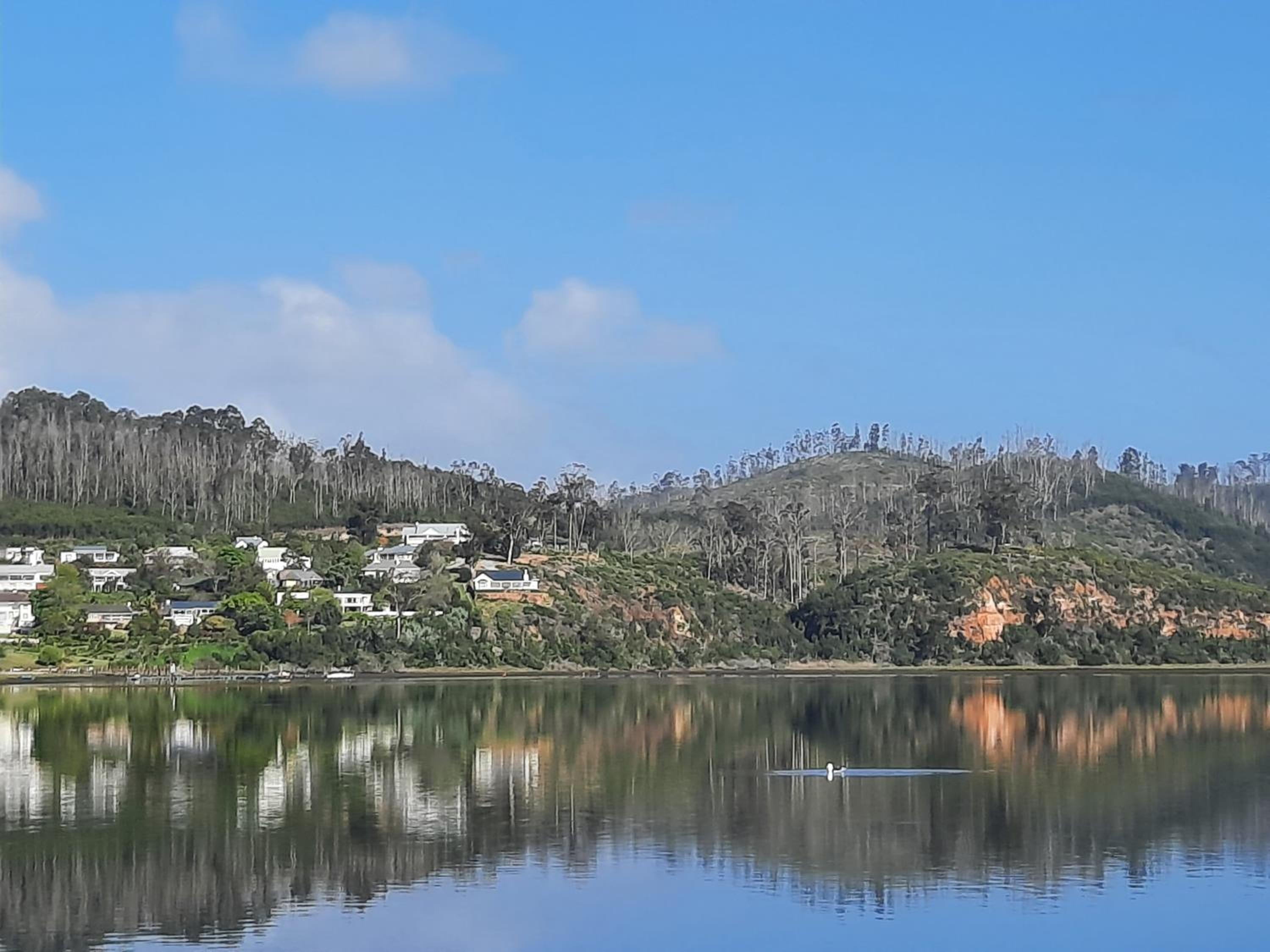Phoenix Lodge and Waterside Accommodation