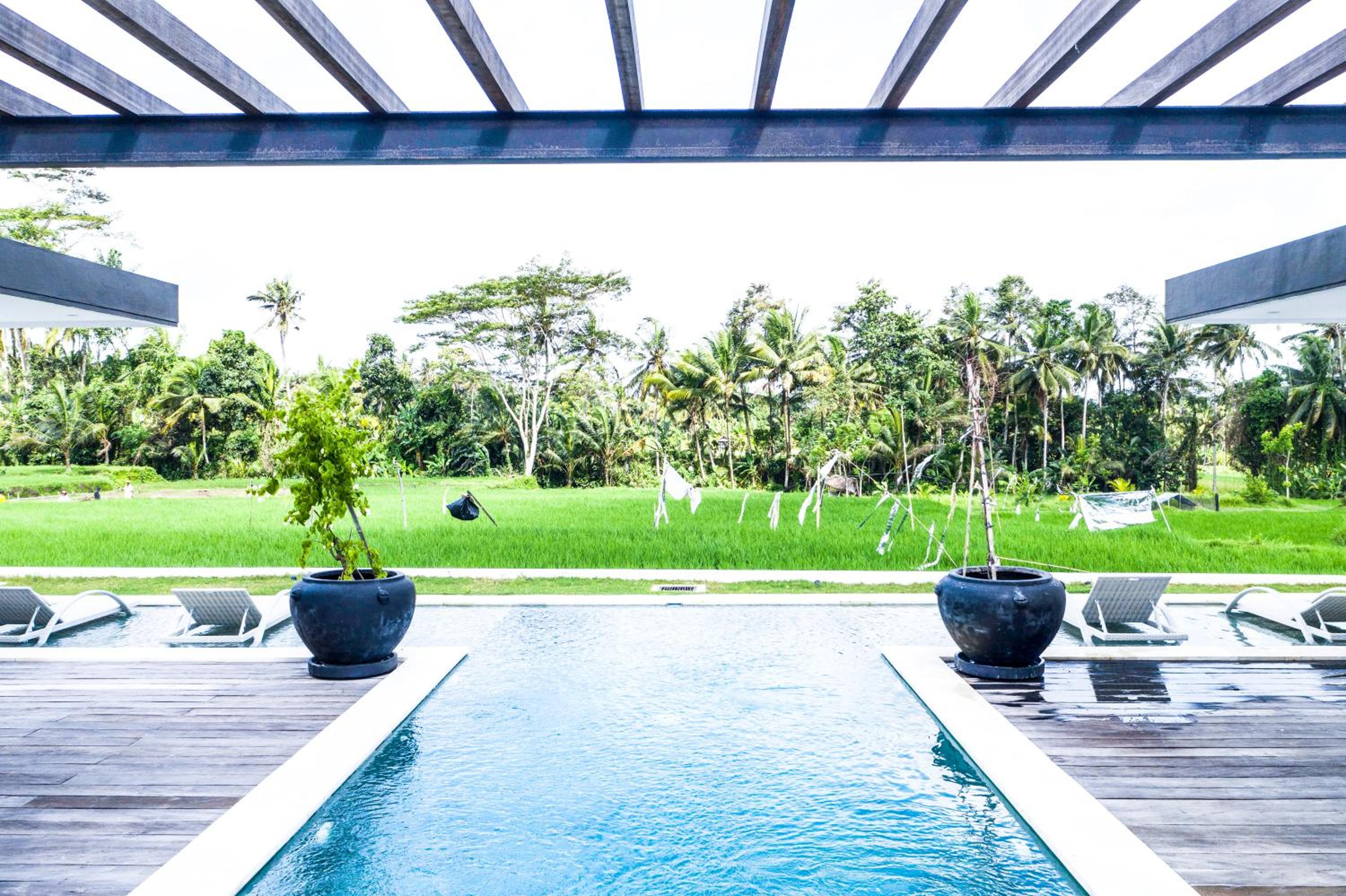 AMAZING 3Br Villa in the middle of Ricefields view 5