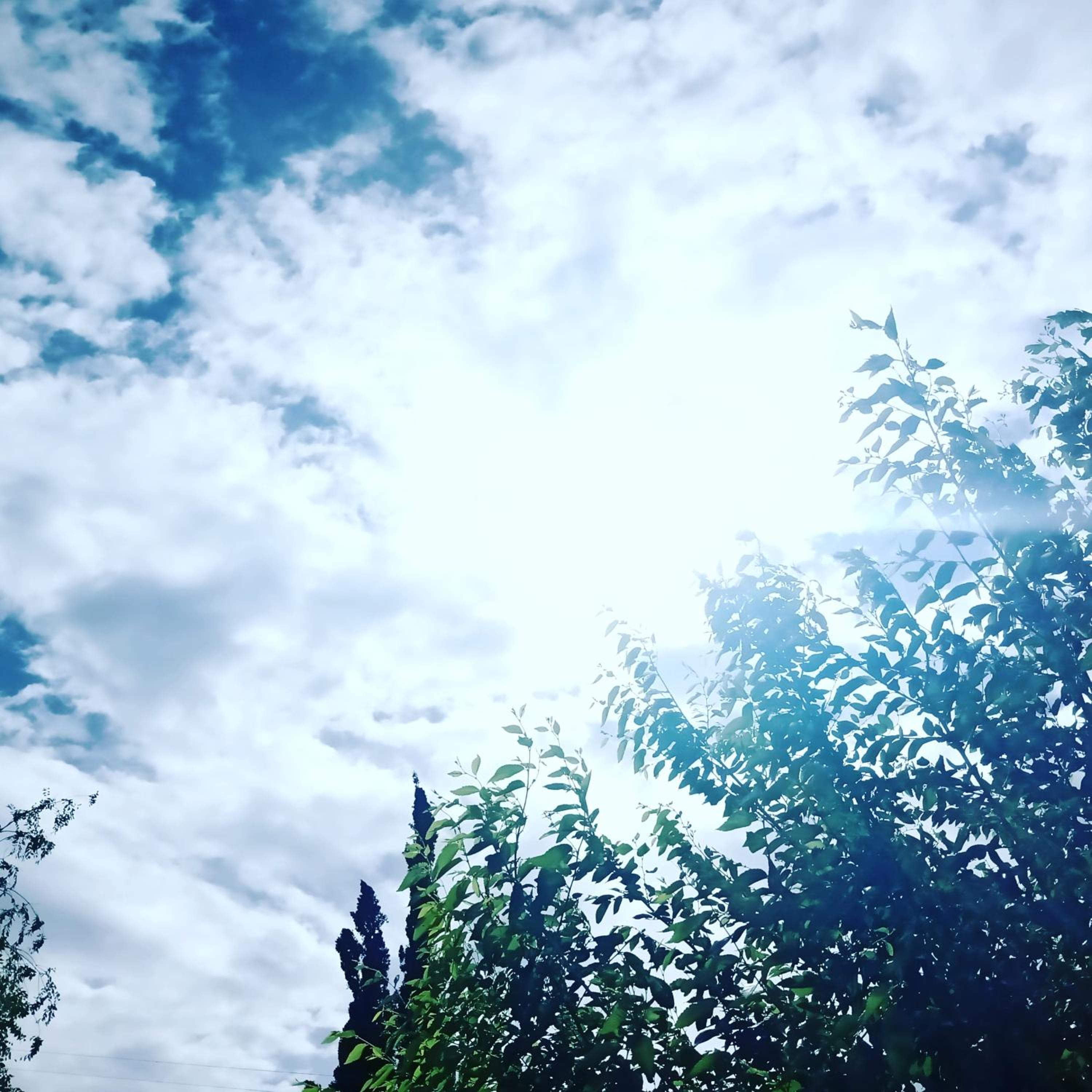 Cabaña Los Pinos