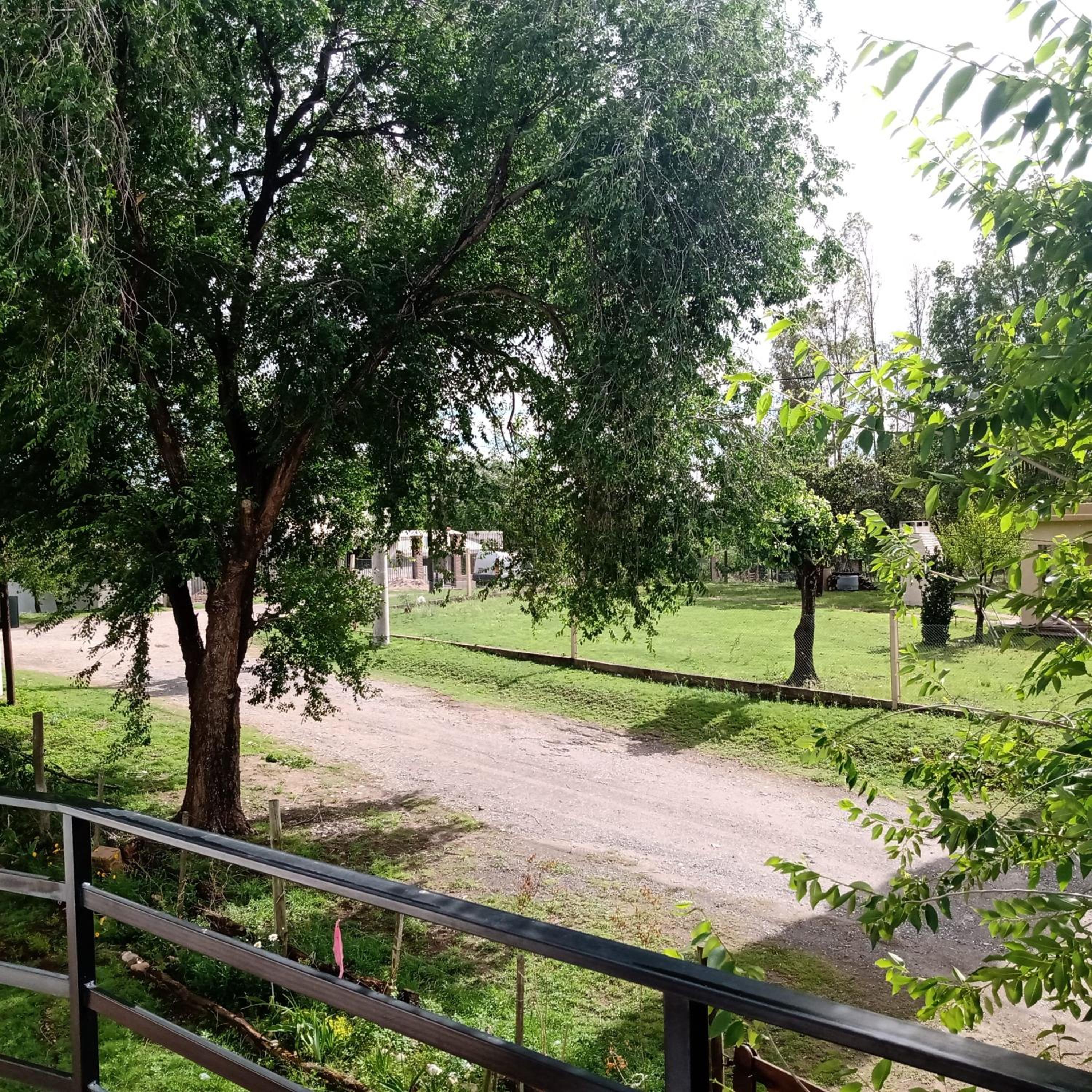 Cabaña Los Pinos