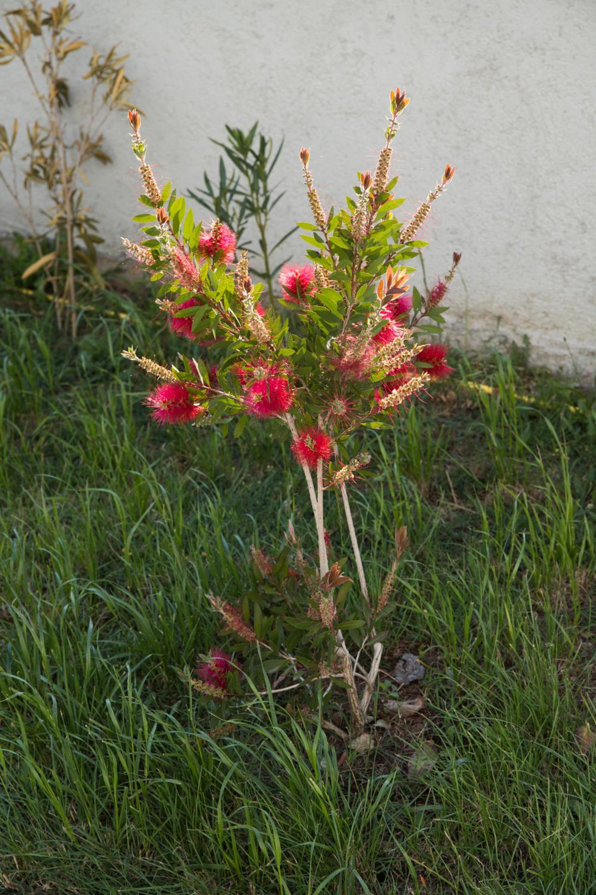 Photo 16