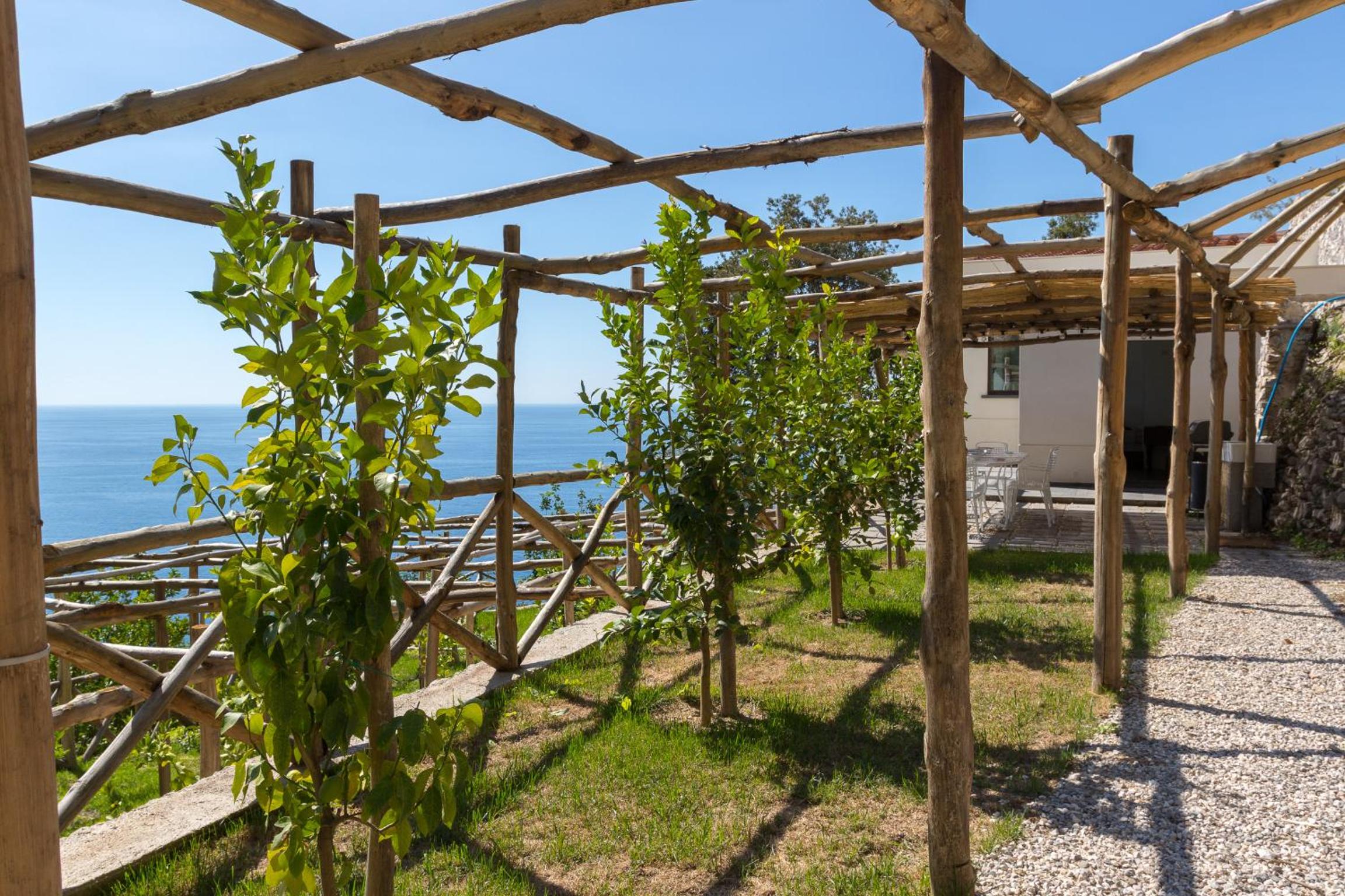 Green House photo 5