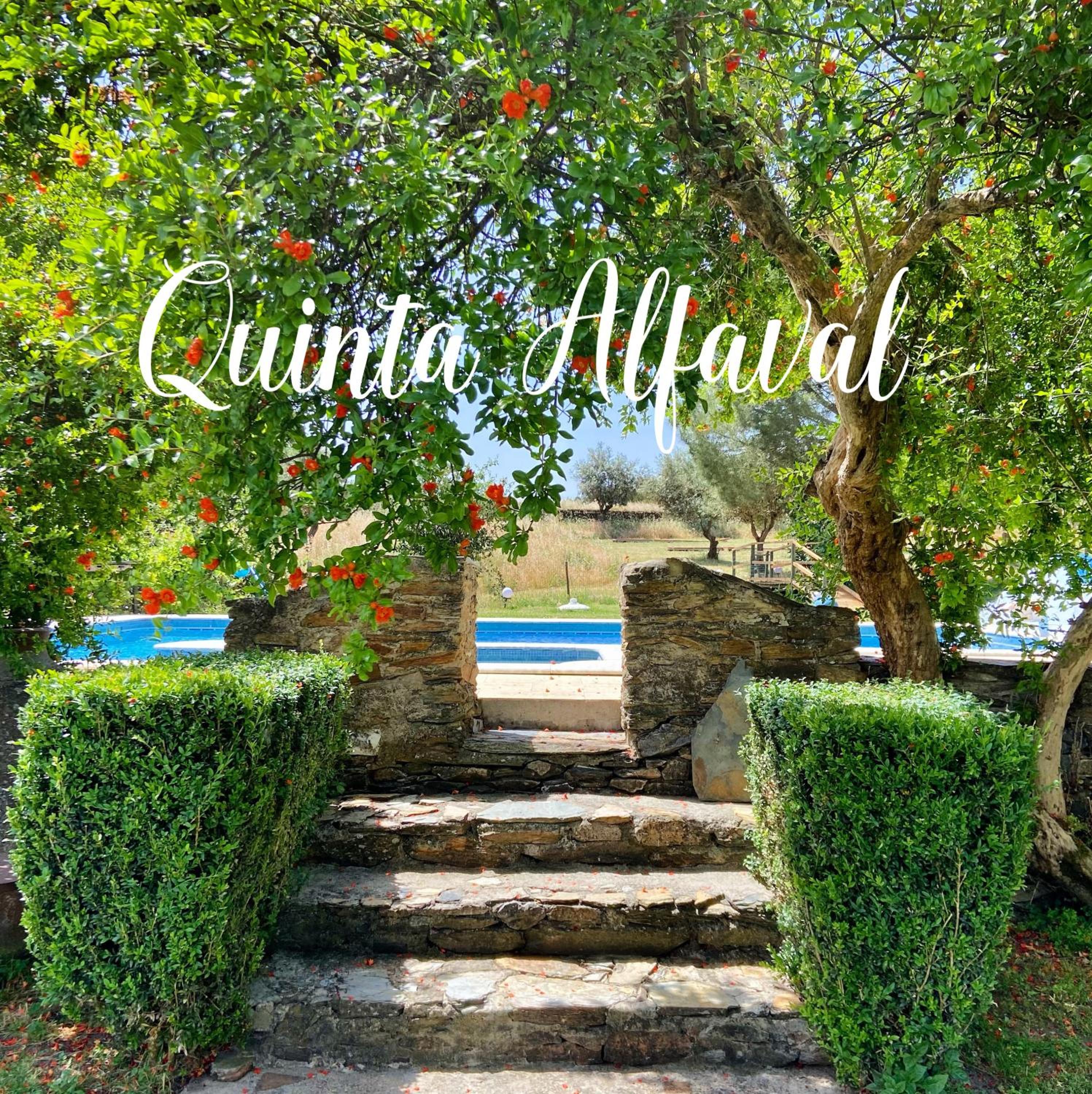 Quinta Alfaval view 2