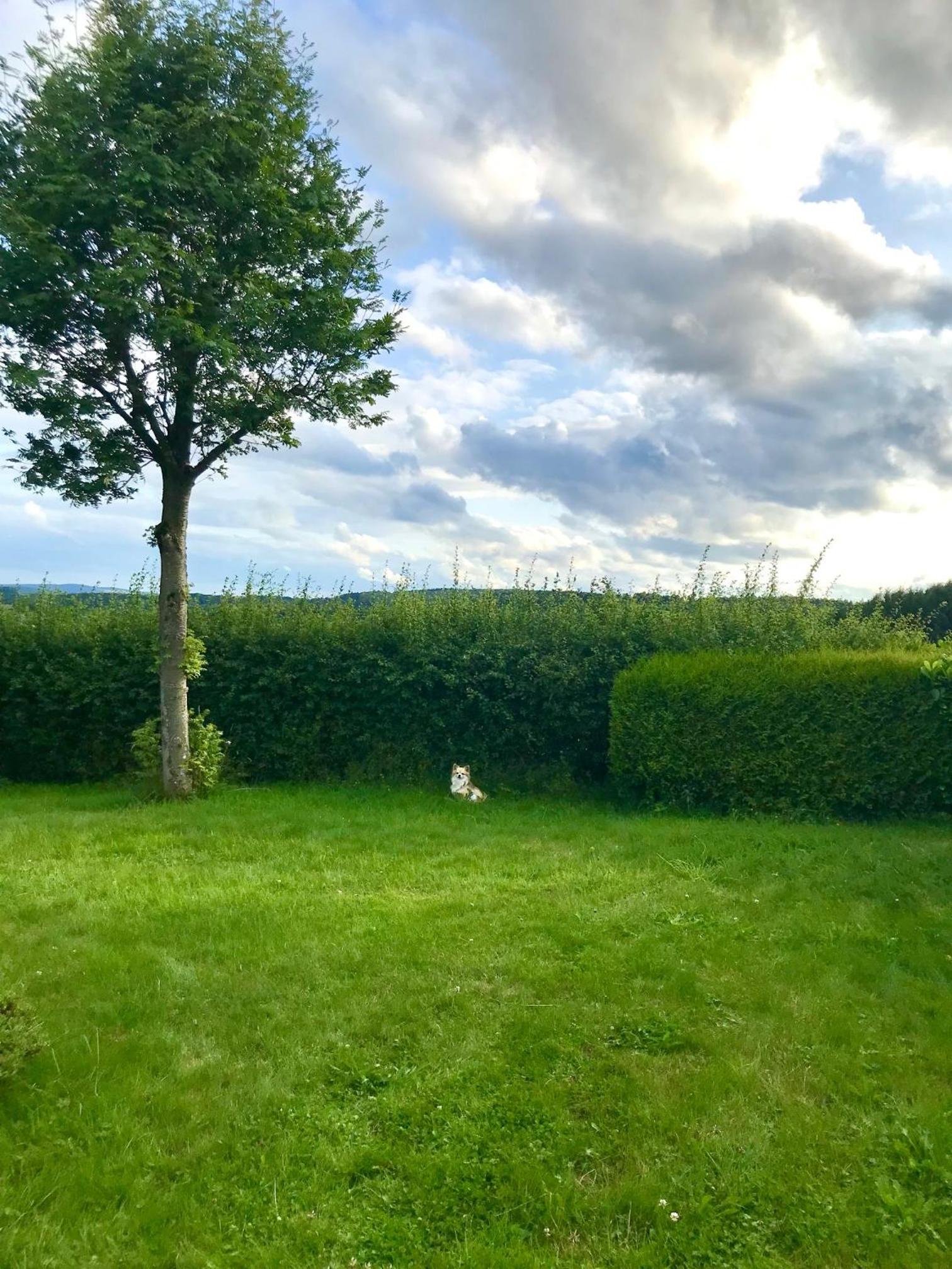Kleine Eifelperle Gönnersdorf