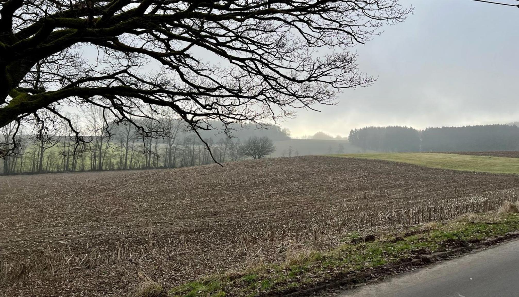Kleine Eifelperle Gönnersdorf