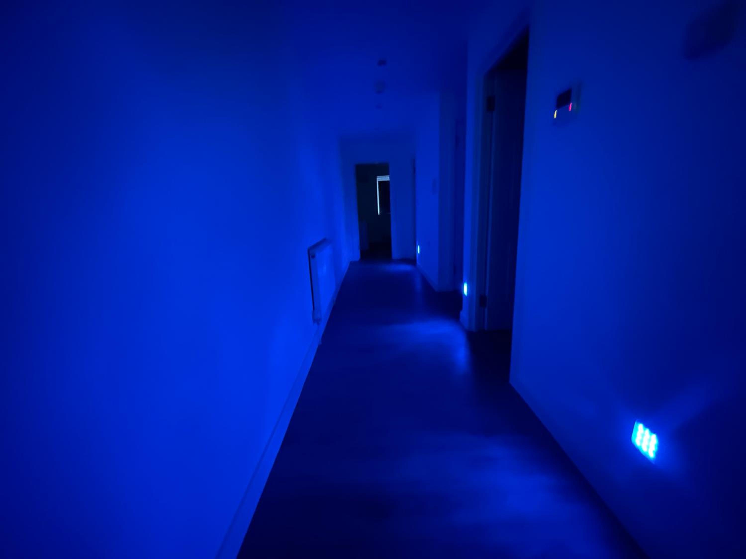 Ilford Luxury Apartments
