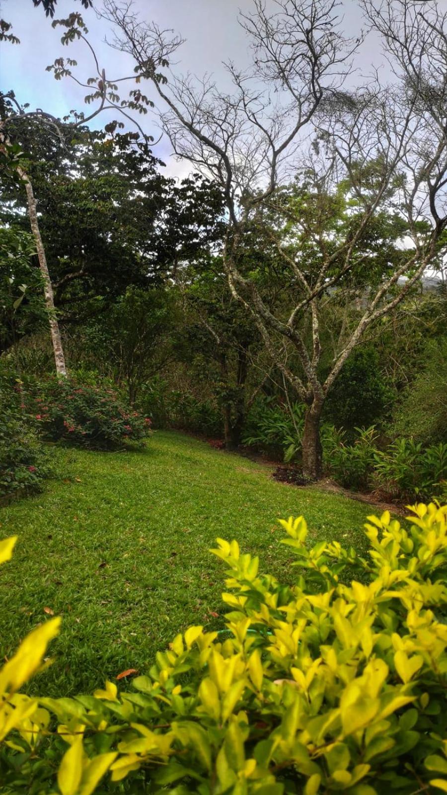 Sítio São Gerardo - Aconchegante casa no campo.
