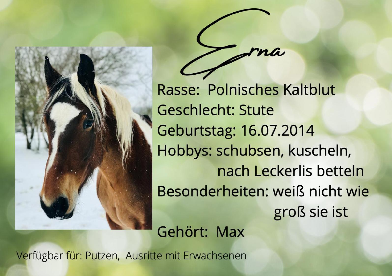 Gemütliche Landhaus Wohnung auf dem Ponyhof - Himmelbett, Kamin & Garten