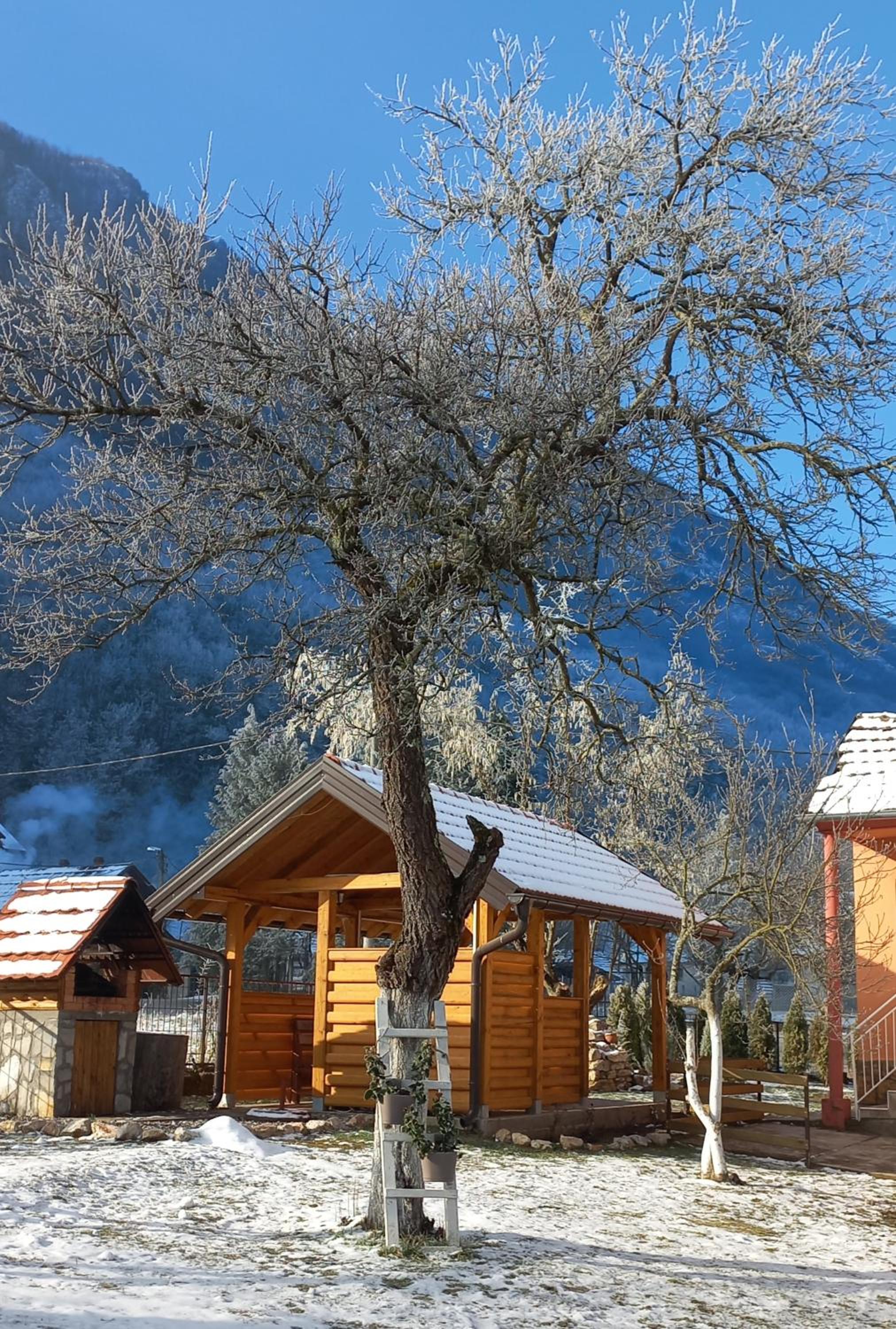 NAXI GUEST HOUSE view 5