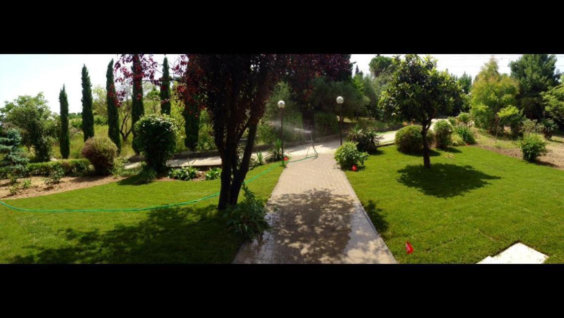 Photo 8