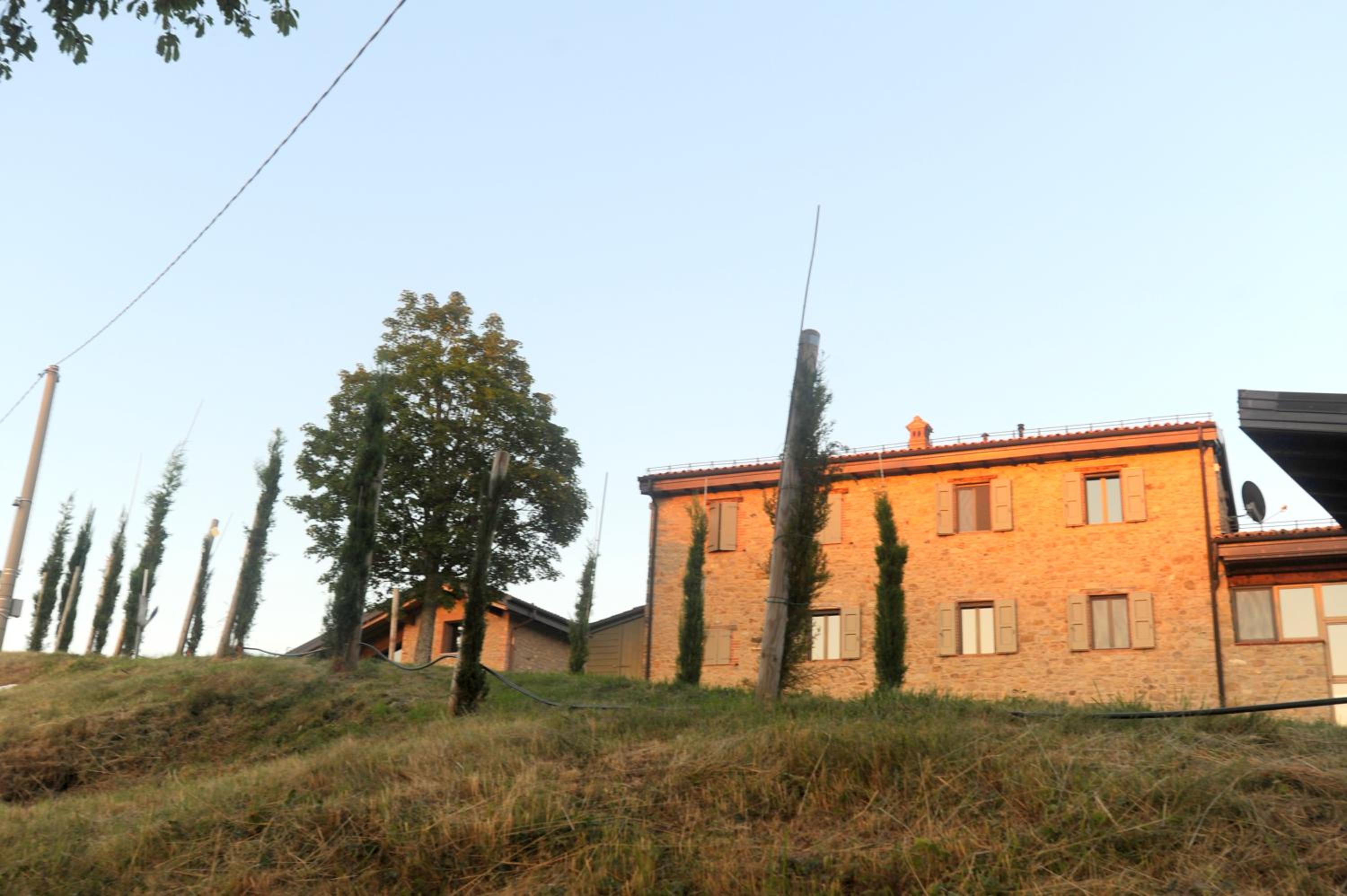 Photo 40